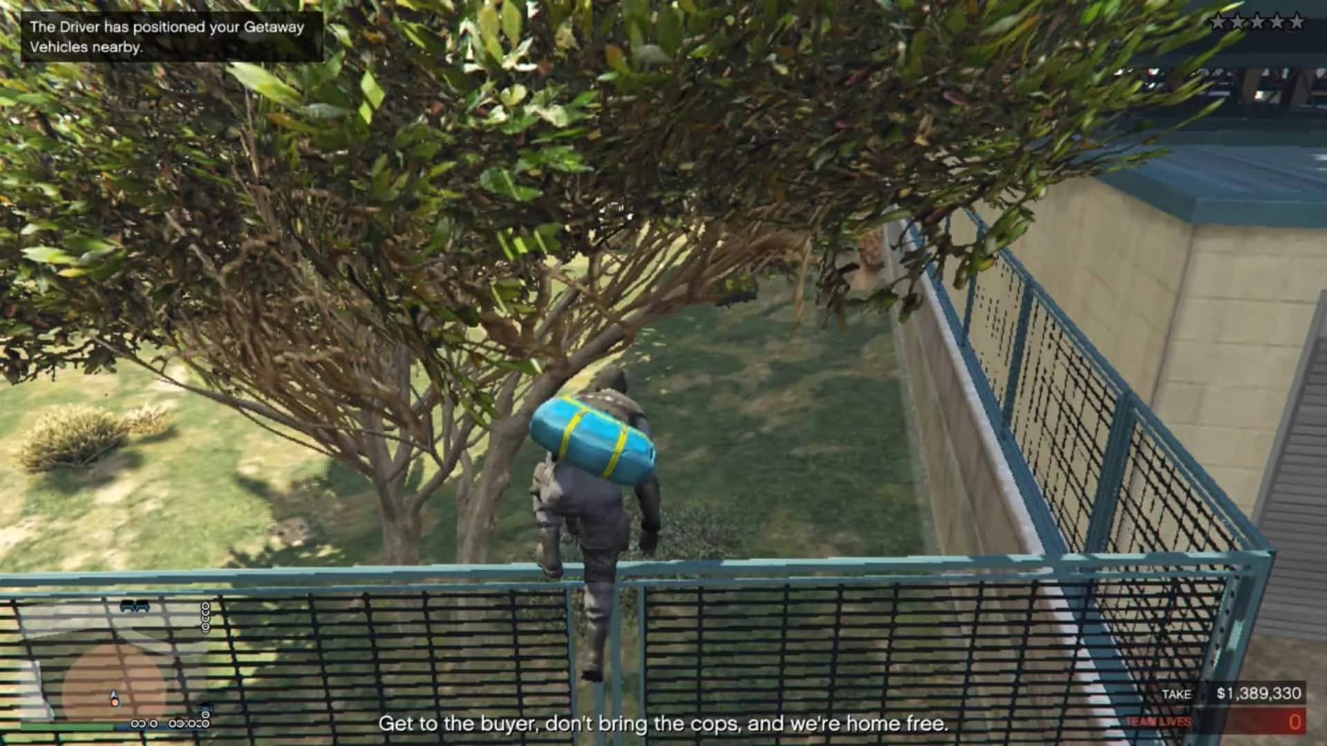 Jumping over the fence to the road