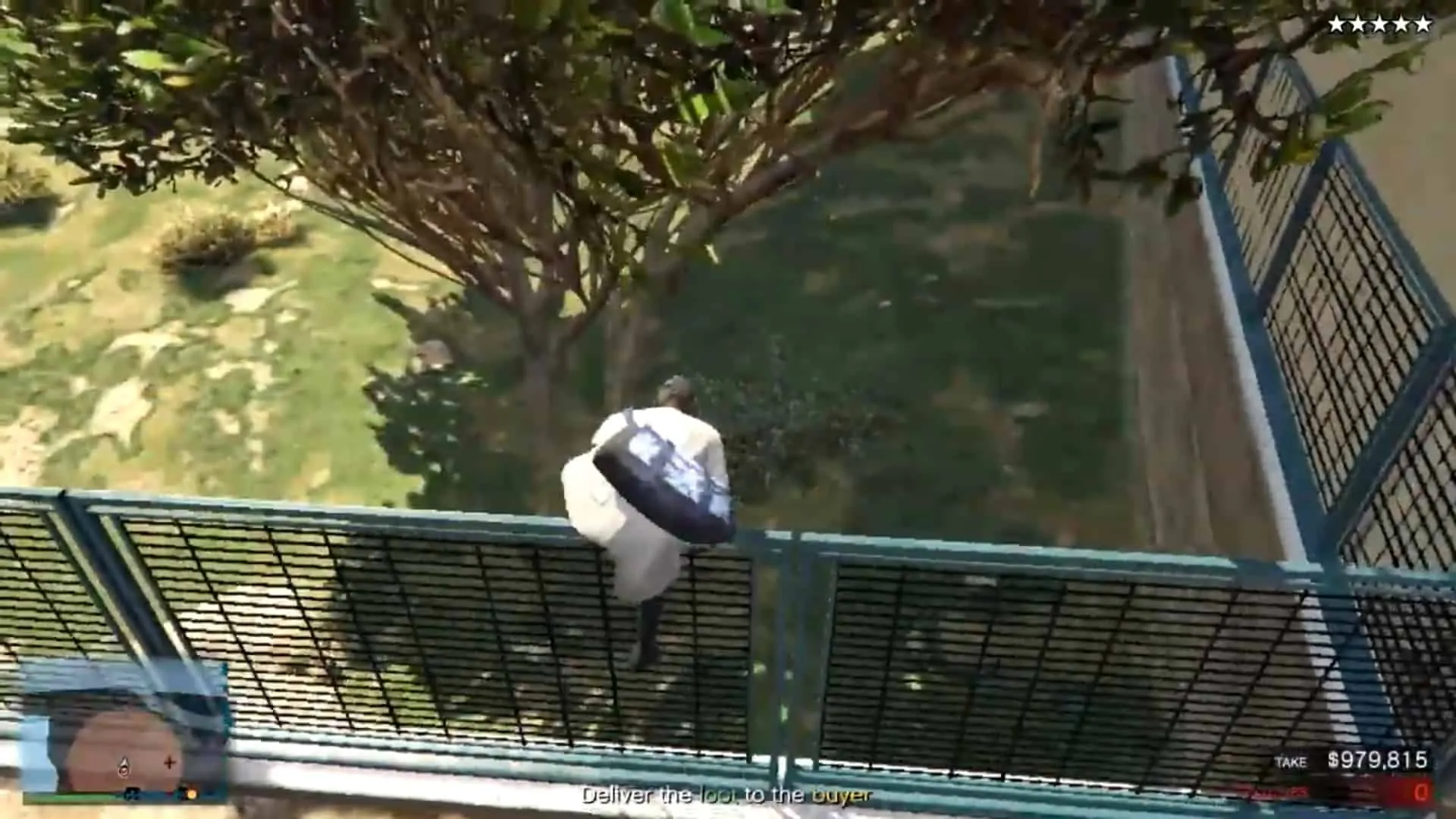 Hopping over the fence out towards the street