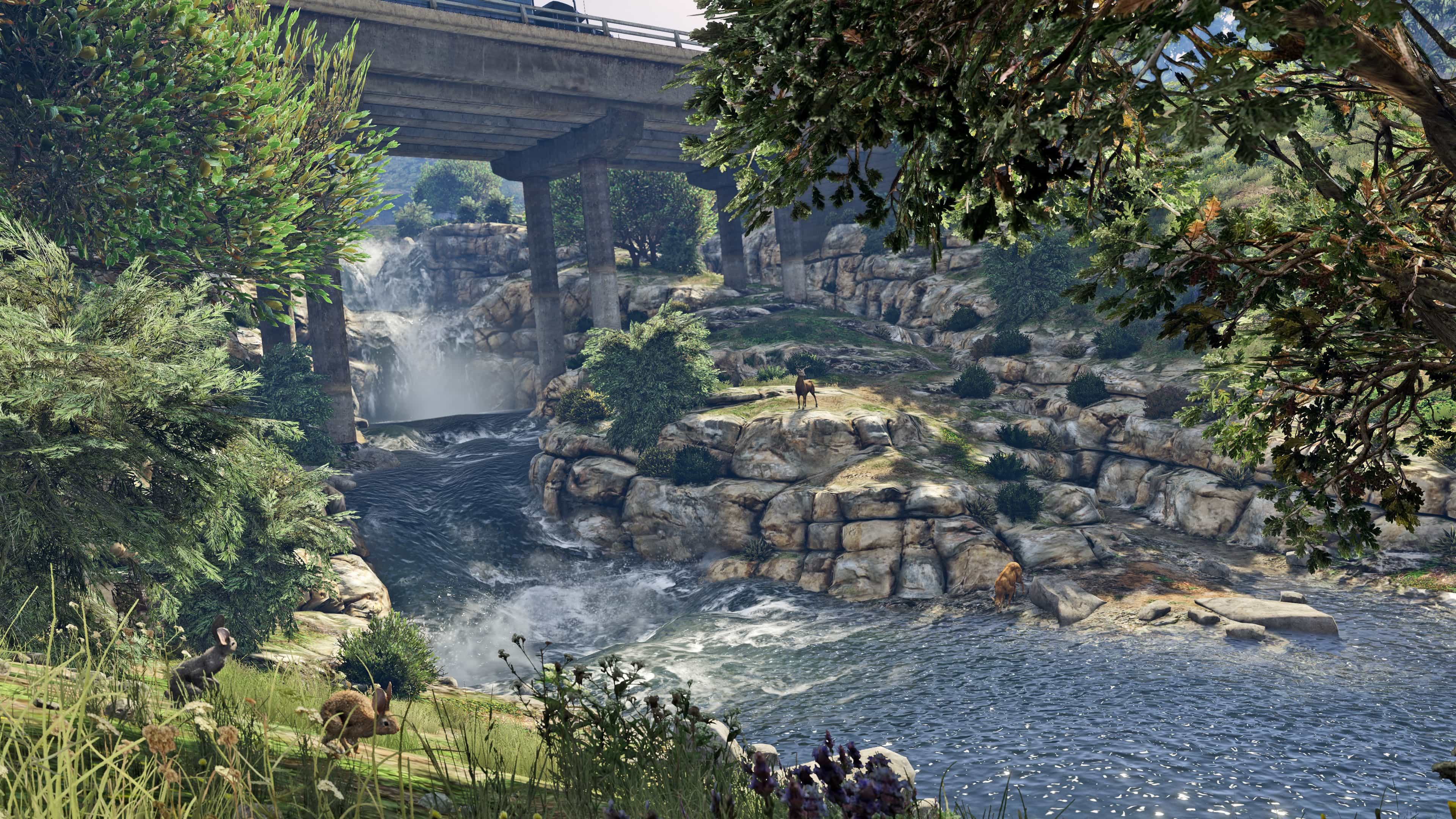 Gtav02272015_7.jpg