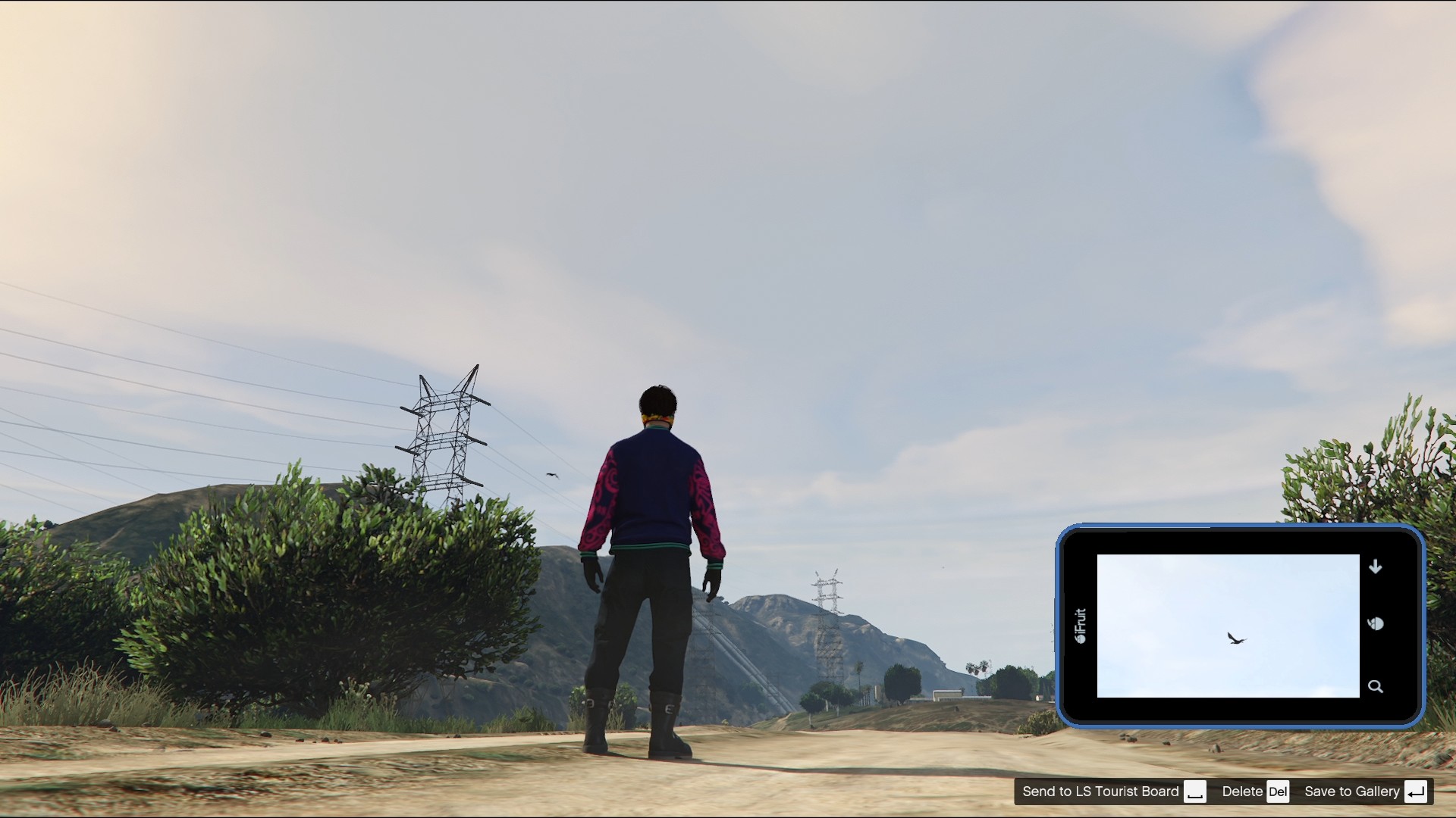 A Great Cormorant is flying in the sky over the dirt road.