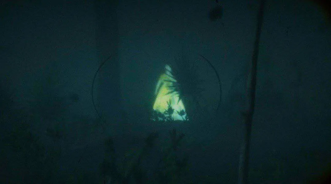 Ghost of Agnes Dowd in Bluewater Marsh in Red Dead Redemption 2