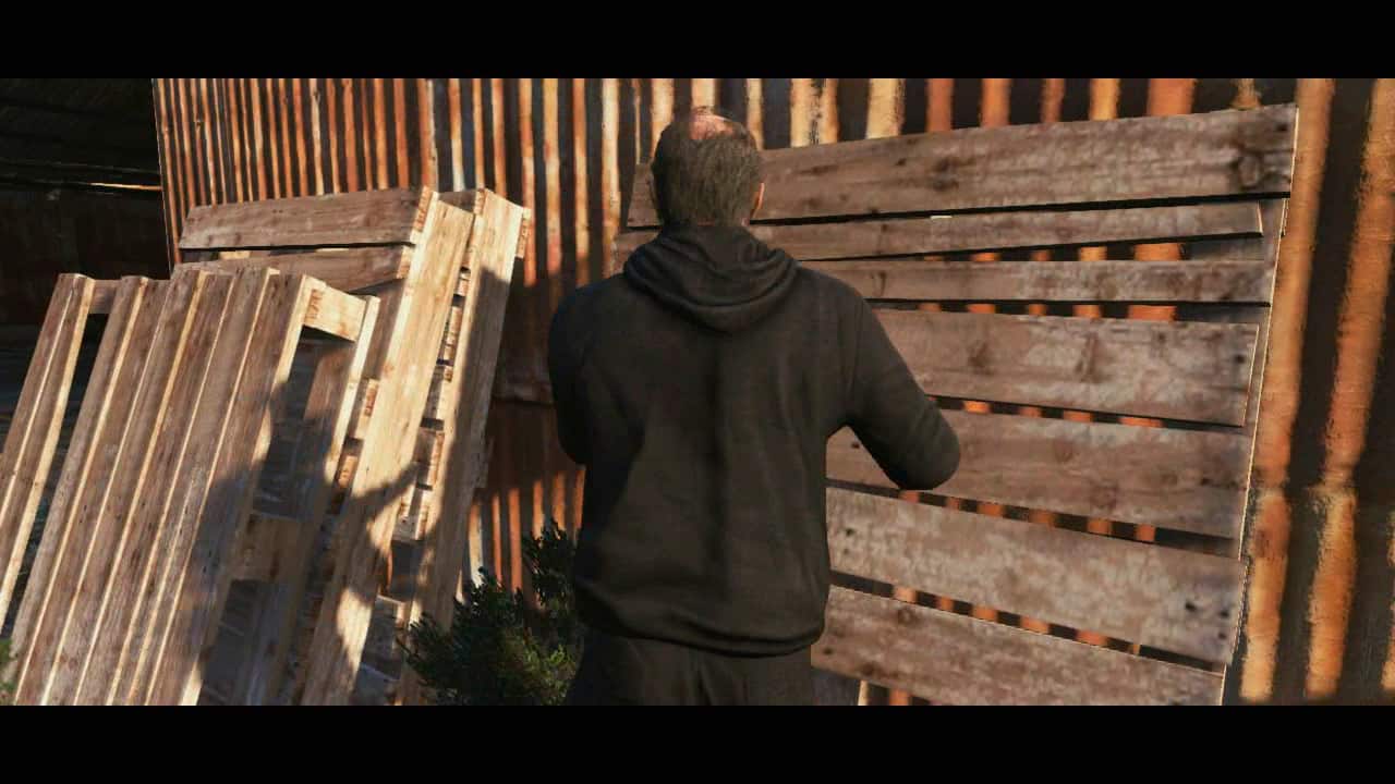 Gta-v-official-trailer00361.jpg