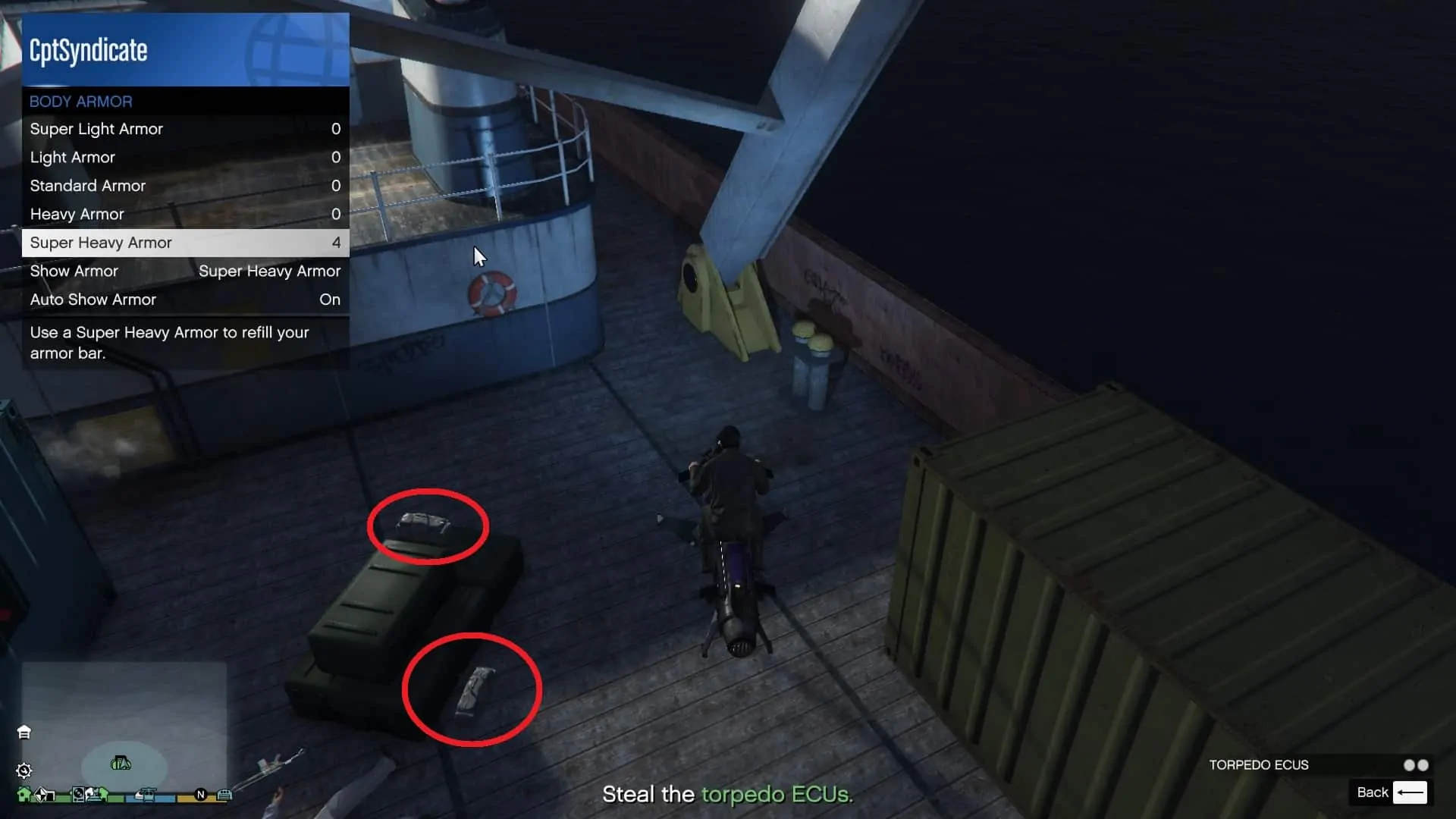 Electronic Control Units (ECUs)