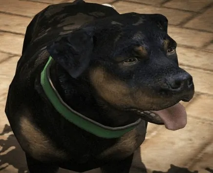 This New Mod Lets You Play As Any Character