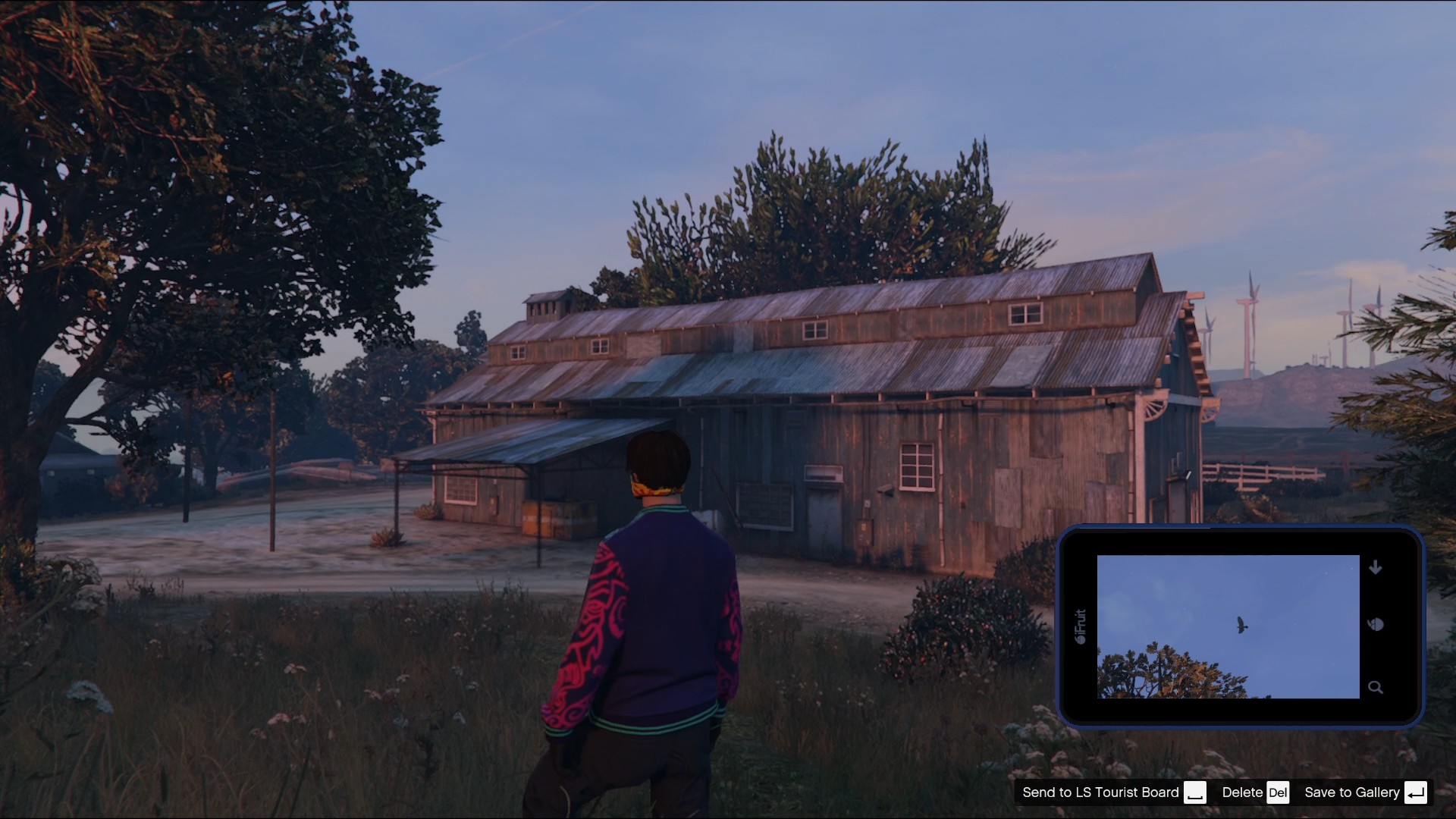 Chicken Hawk was captured flying in the sky directly above the farm.