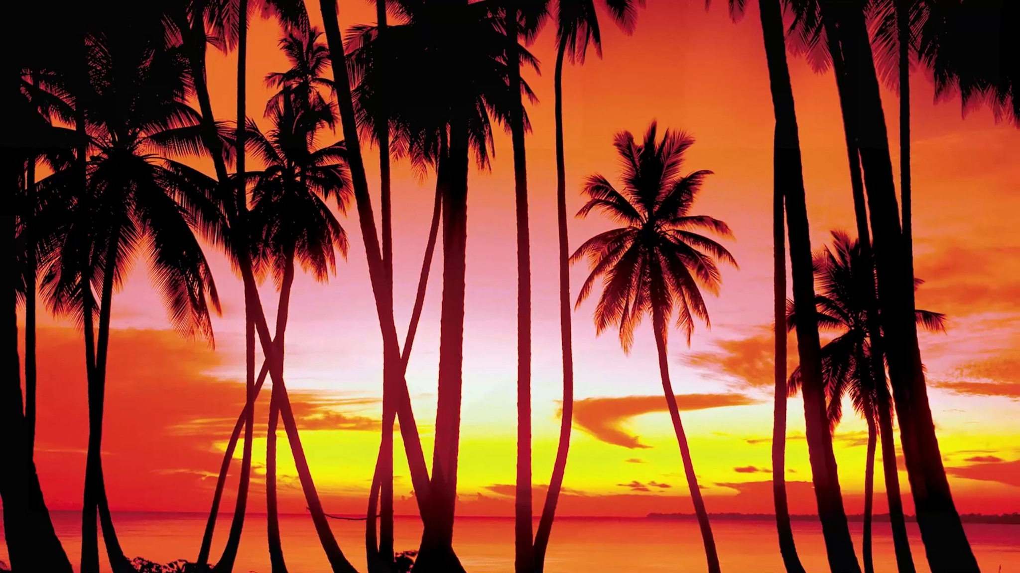 The GTA: Vice City browser port lasted barely a week before Take-Two's lawyers moved to take the game down.