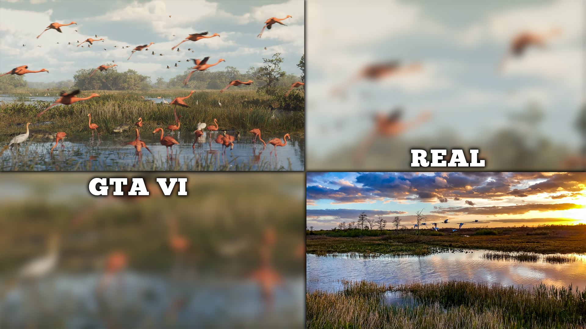 Who knows, we might even encounter some more dangerous animals in-game, such as the Florida panther or even a Python.