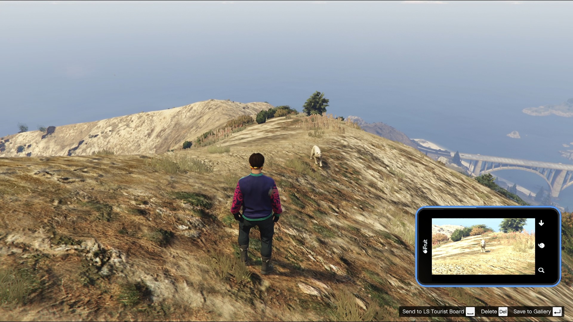 Mountain Lion is found on top of Mount Josiah by Fort Zancudo.