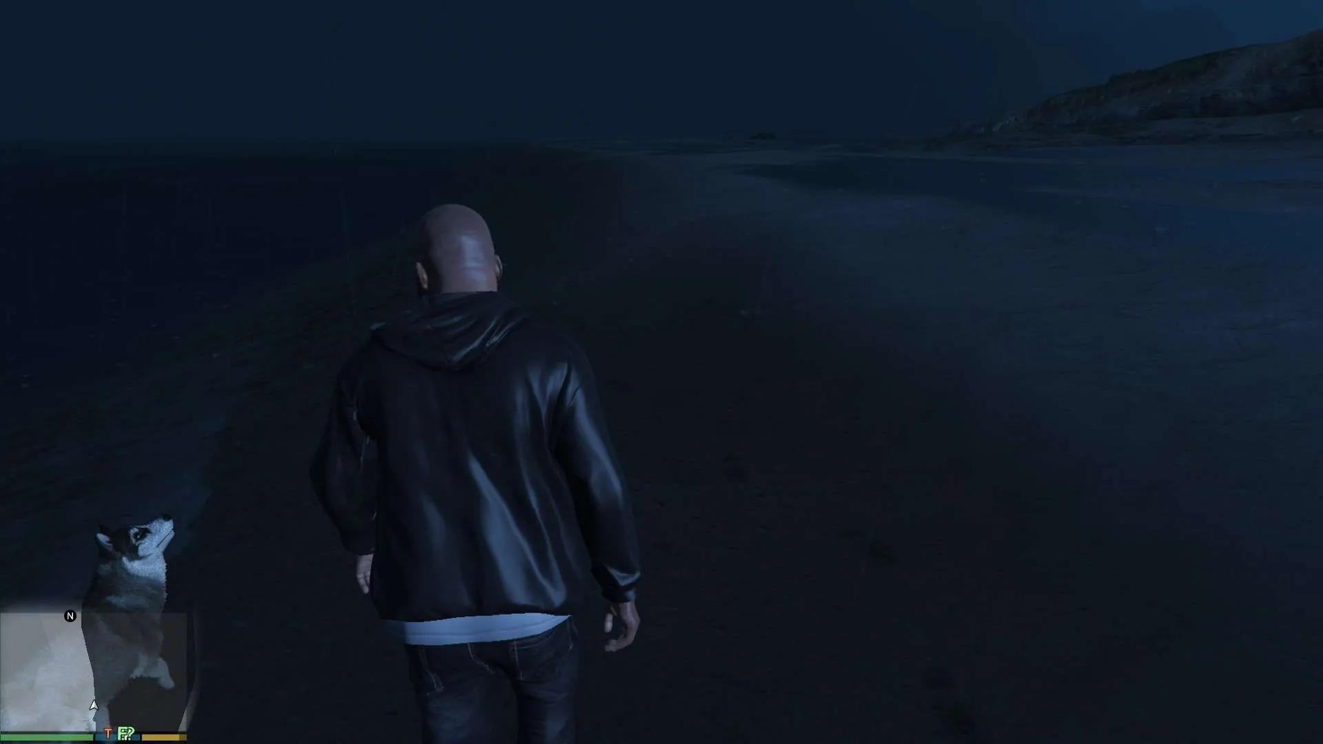 Study: The Secret Lives Of Gta V's Dogs