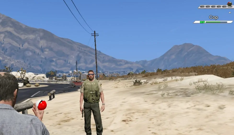 GTA V NPCs, Gotta Catch 'Em All