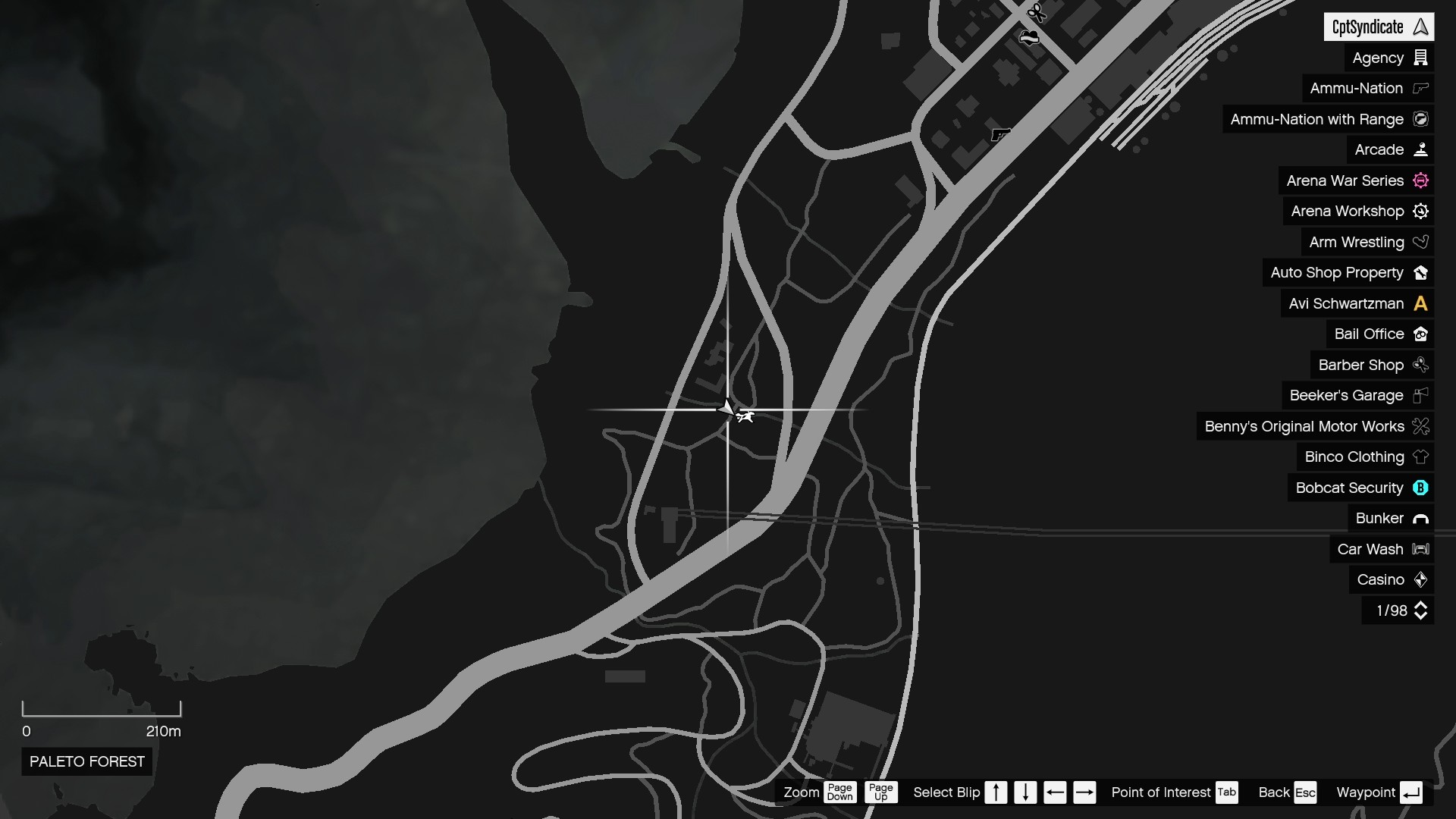 The map shows the location of the golden clover found at the wooden bridge in Paleto Forest.
