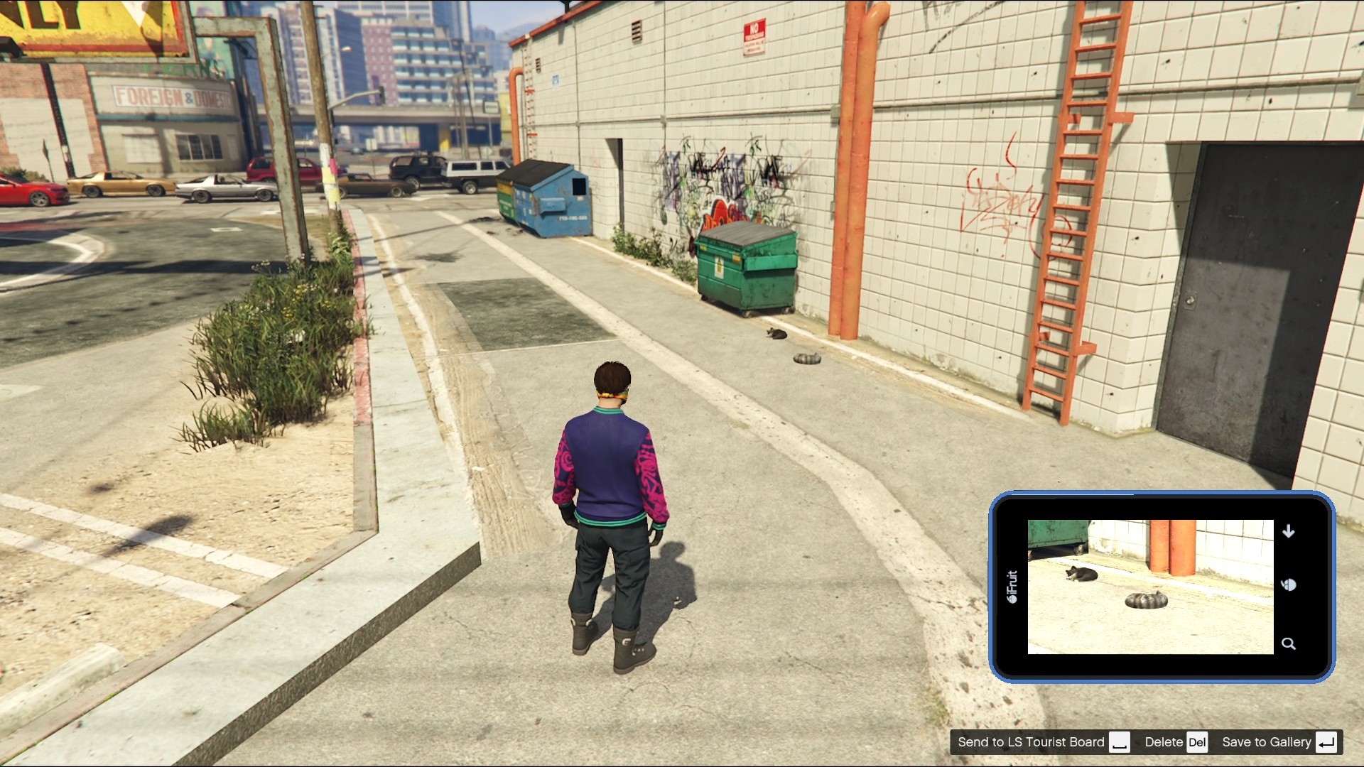 Multiple Cats found in a Strawberry alleyway.