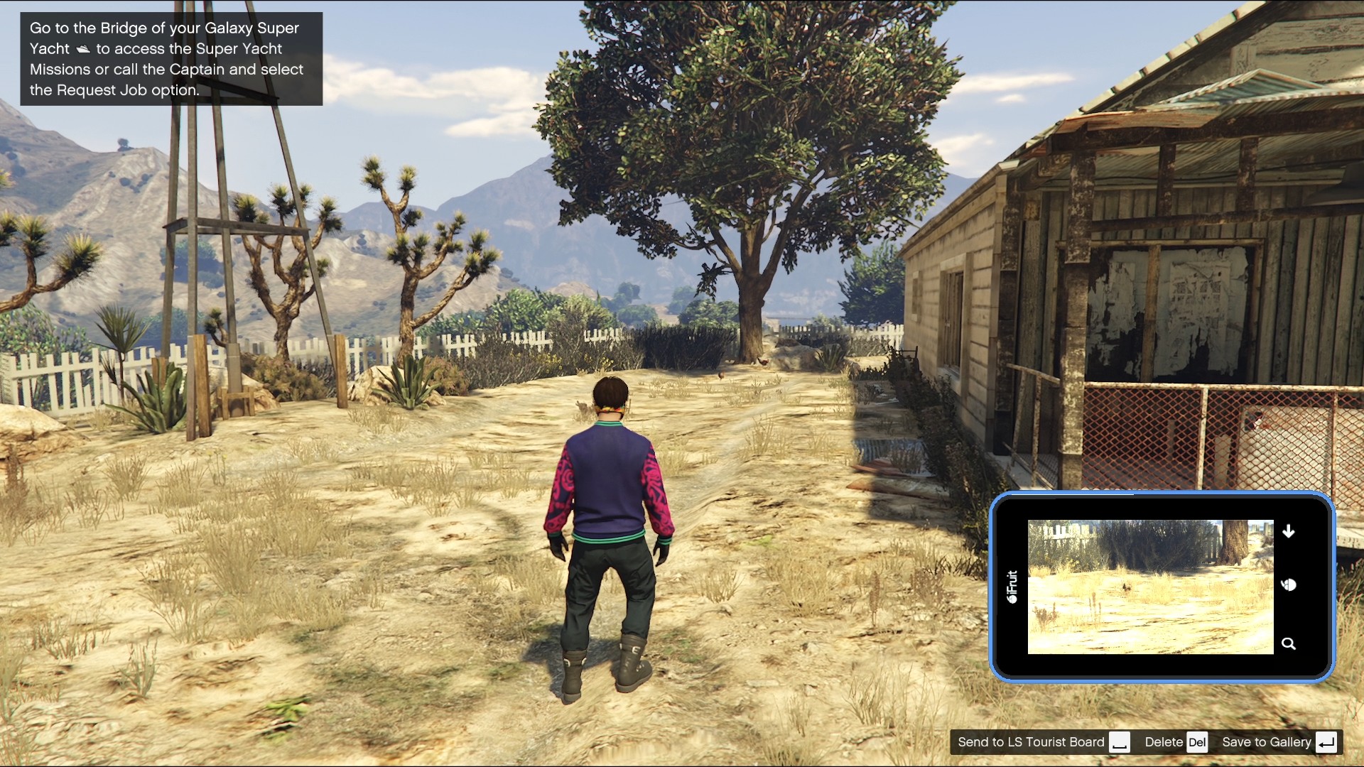 Hen was found in the backyard of a house in Sandy Shores.