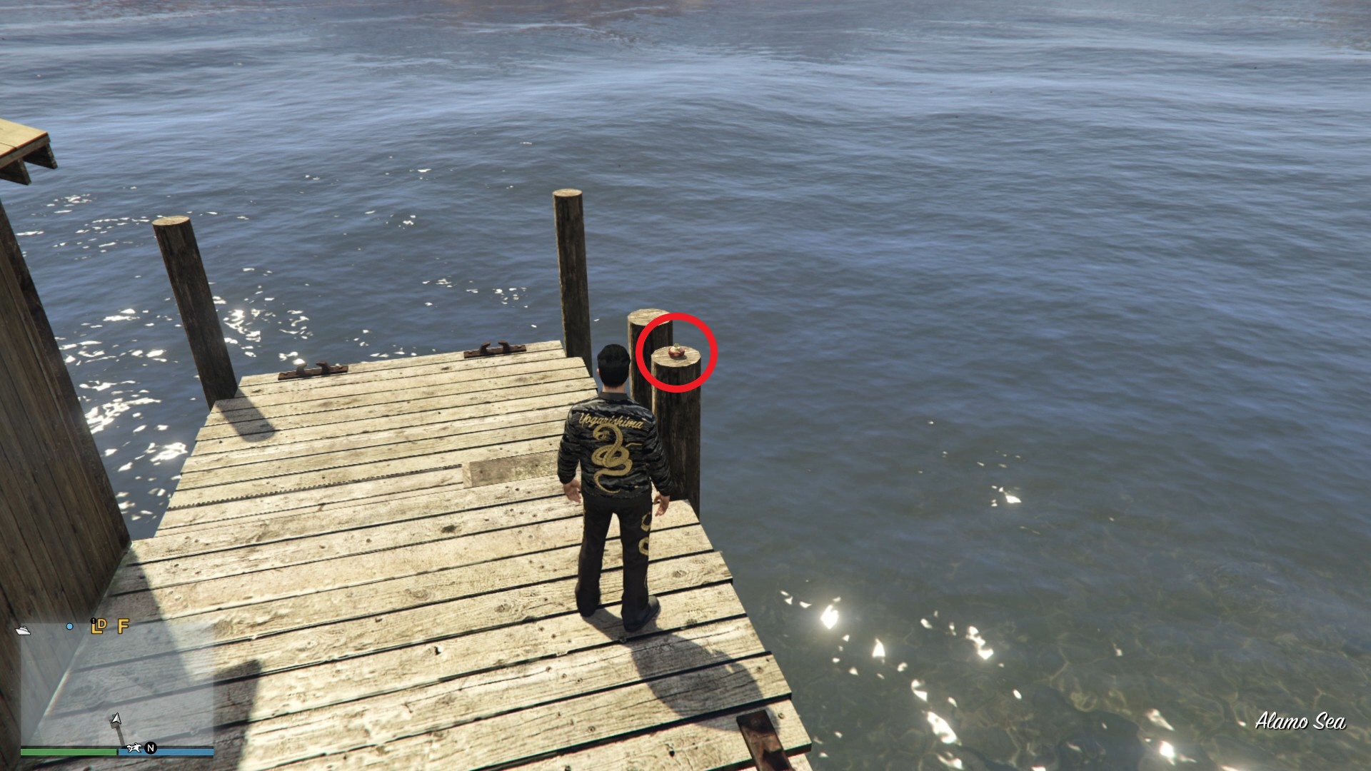 At the end of the dock at the Foreclosed North Alamo Pier.