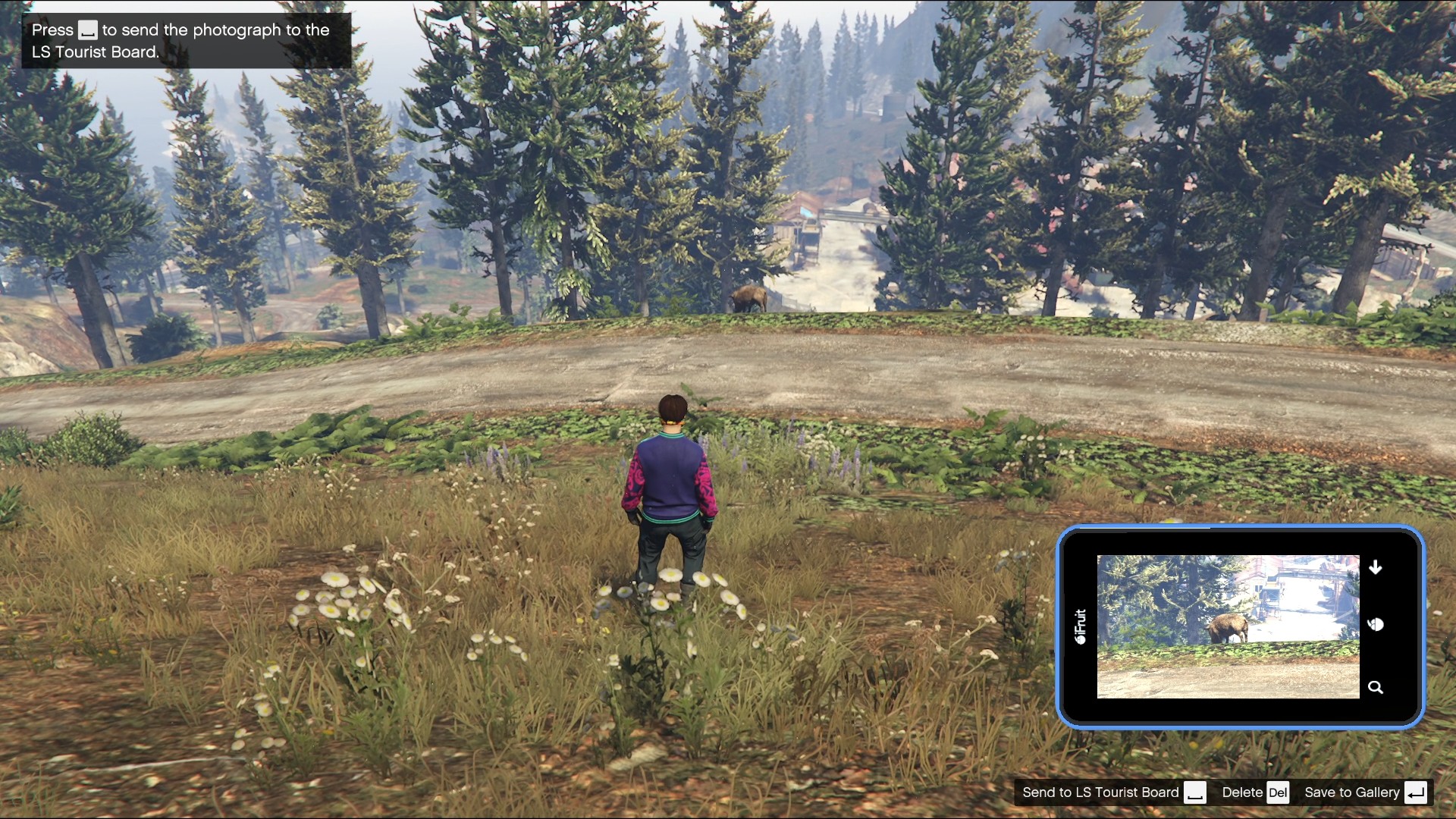 Boar overlooking the Paleto Forest Sawmill.