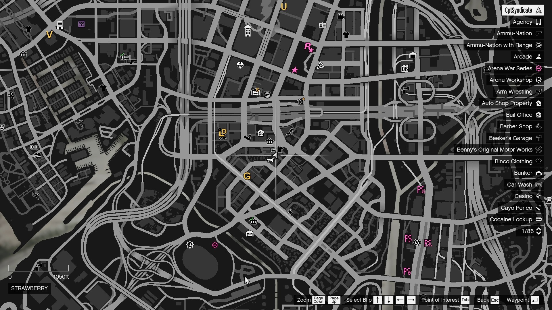 Cat's location on the map.