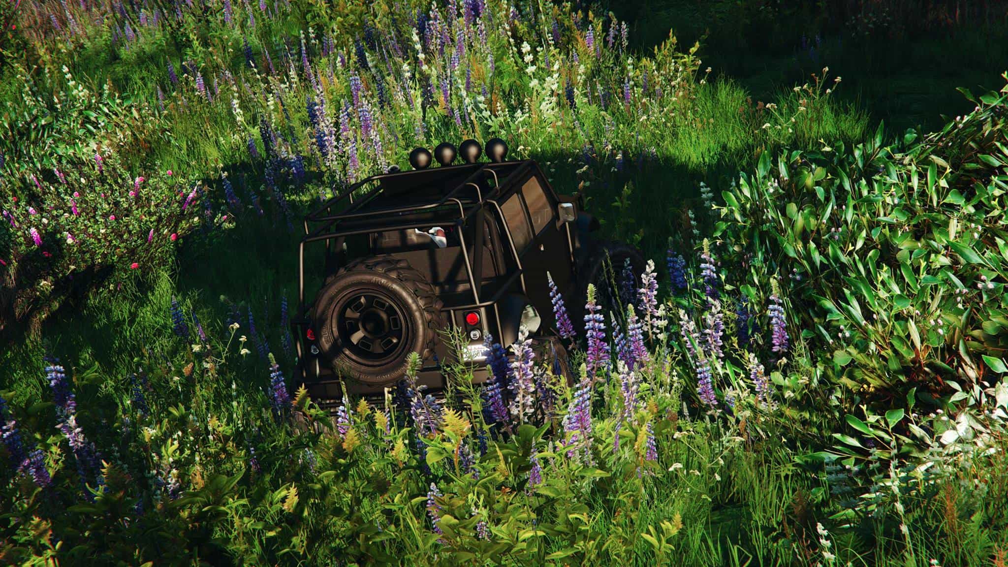 Sasquatch (aka Bigfoot) Found In GTA 5