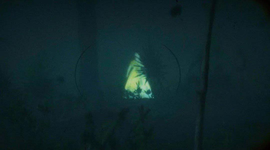 Ghost of Agnes Dowd in Bluewater Marsh in Red Dead Redemption 2