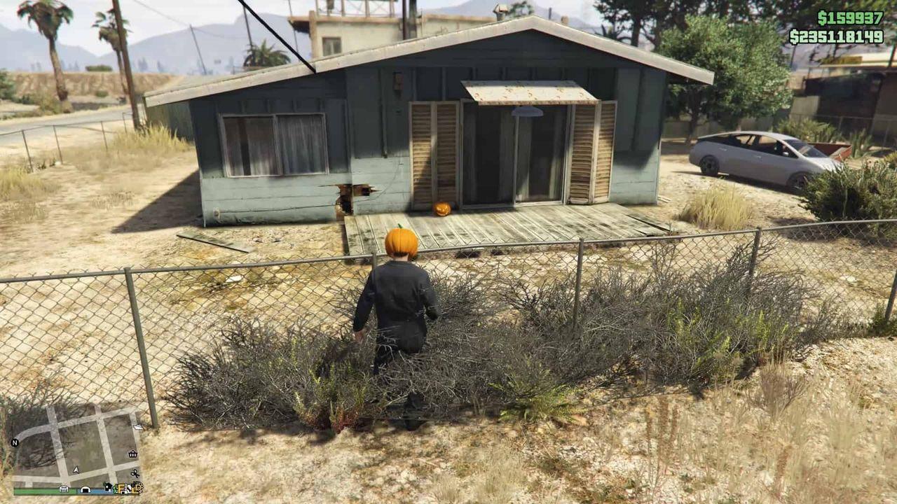 Pumpkin-Location-171-Visual.jpg