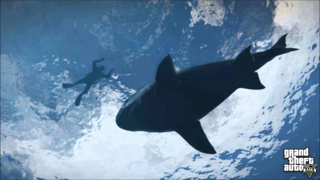 Gta-v-shark.jpg