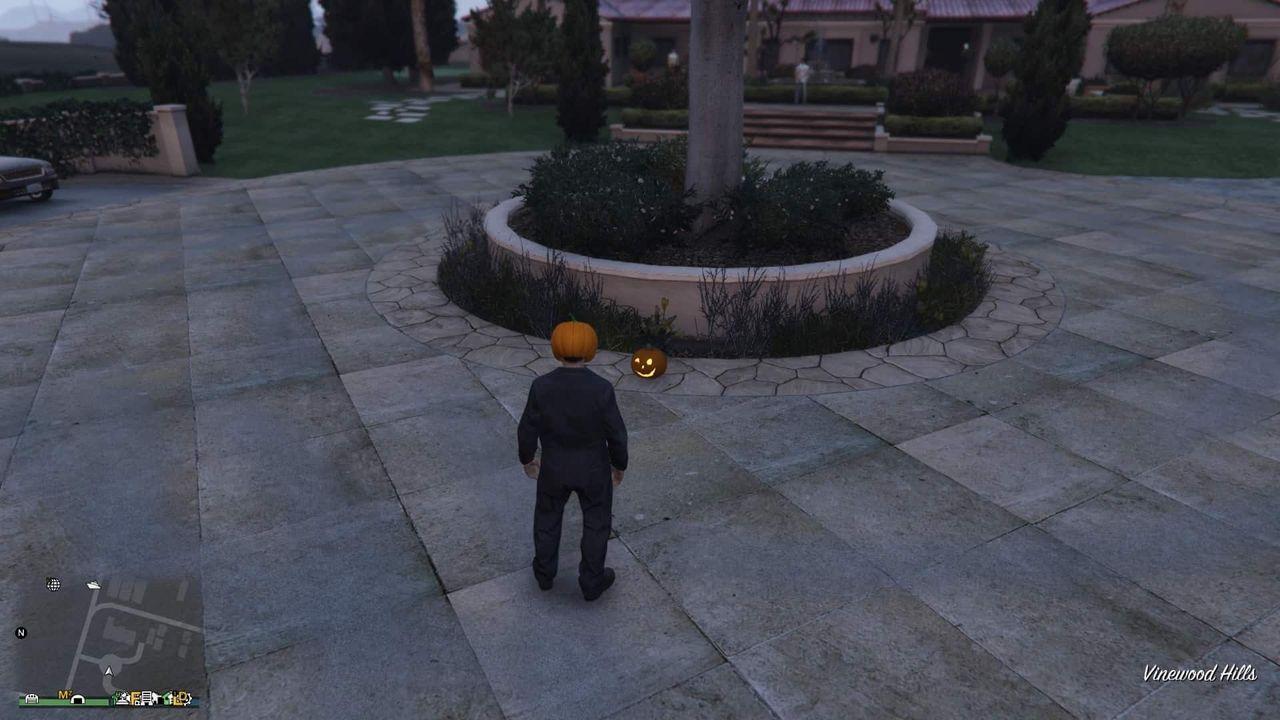 Pumpkin-Location-151-Visual.jpg