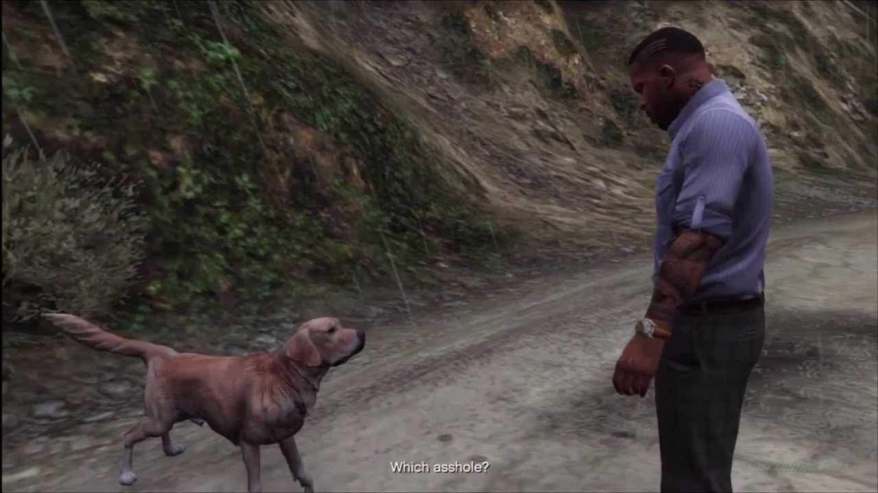 The one who didn't feed me.