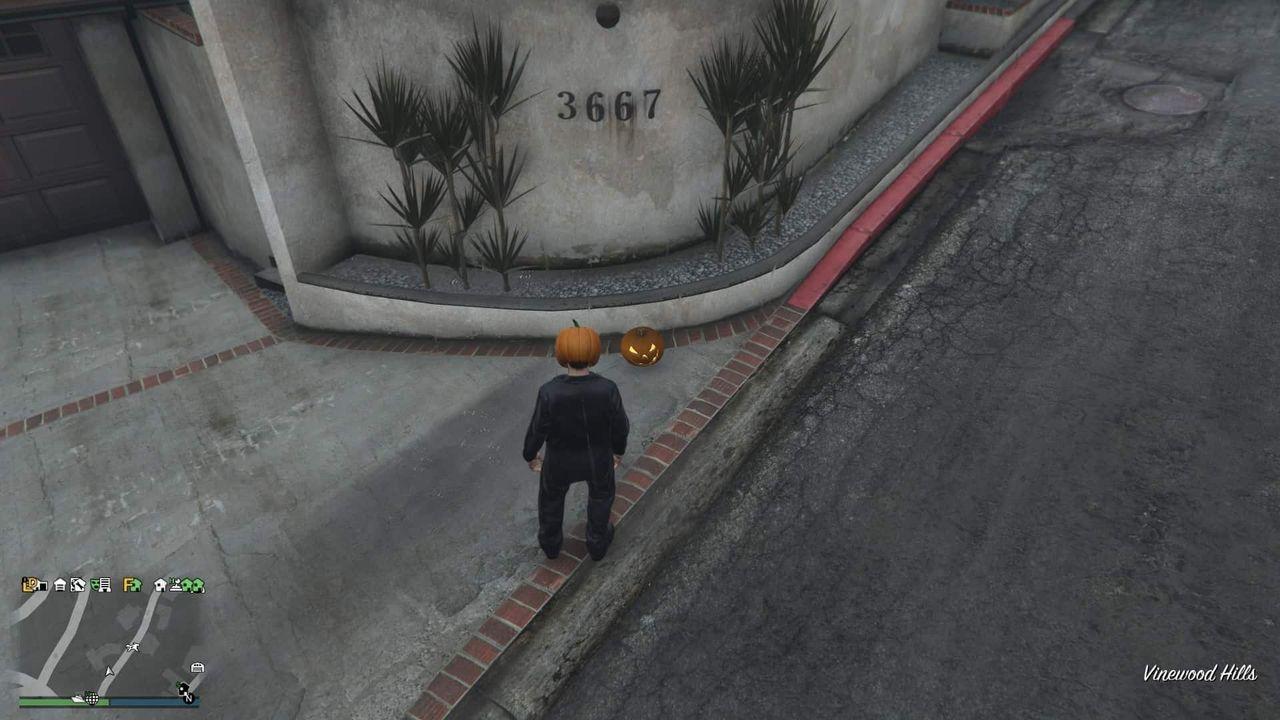 Pumpkin-Location-98-Visual.jpg