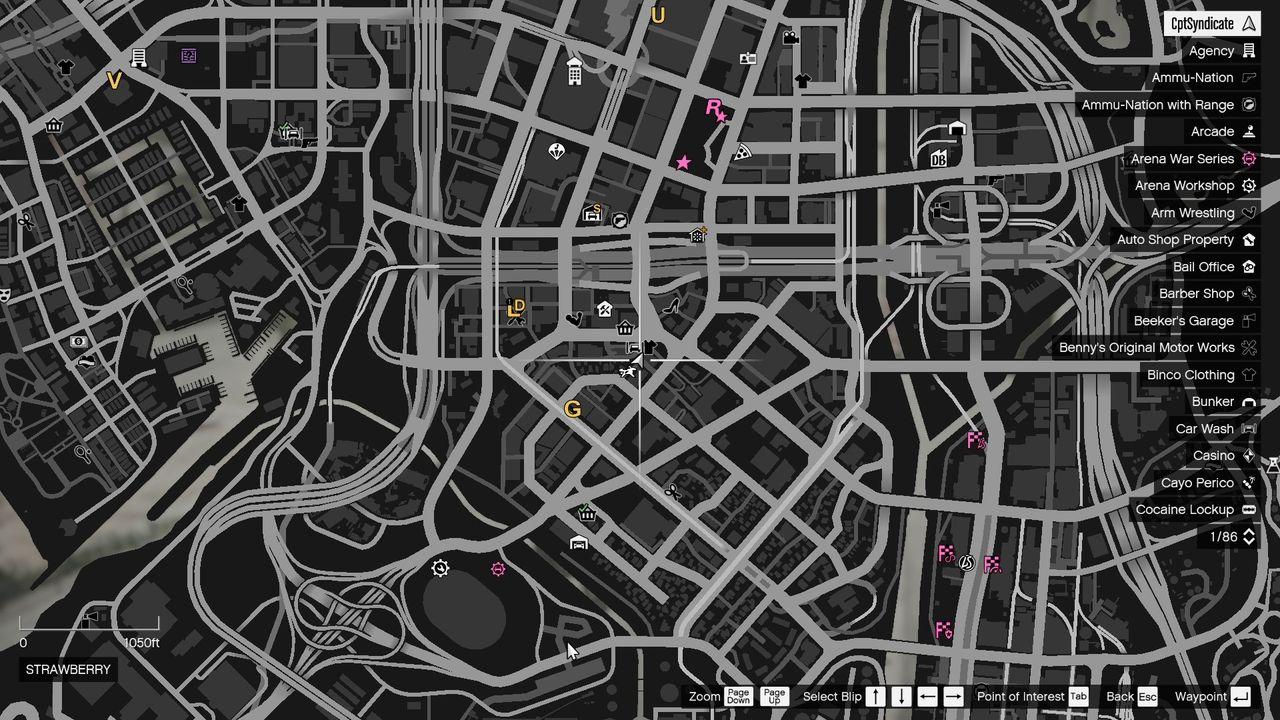 Cat's location on the map.