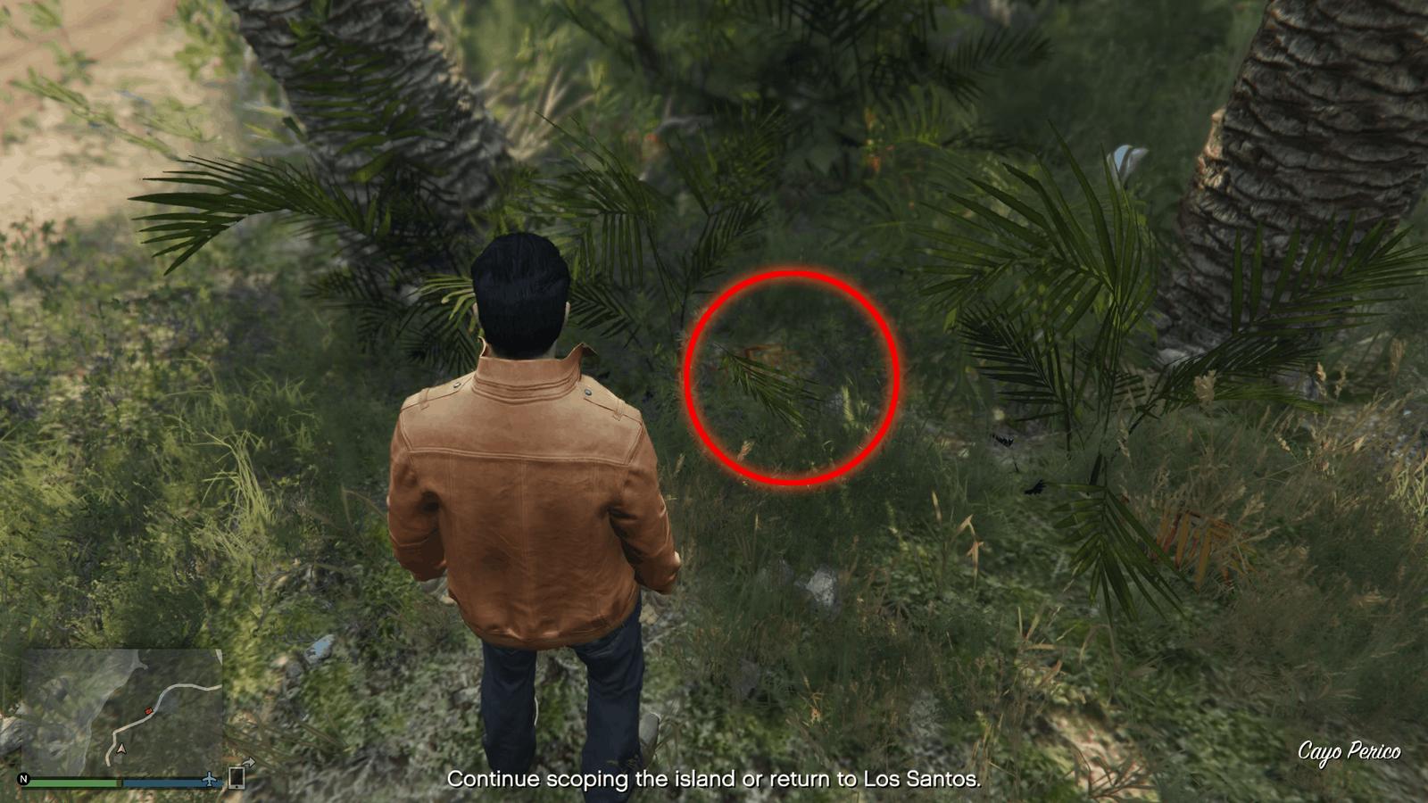 Chest-5-Visual.png