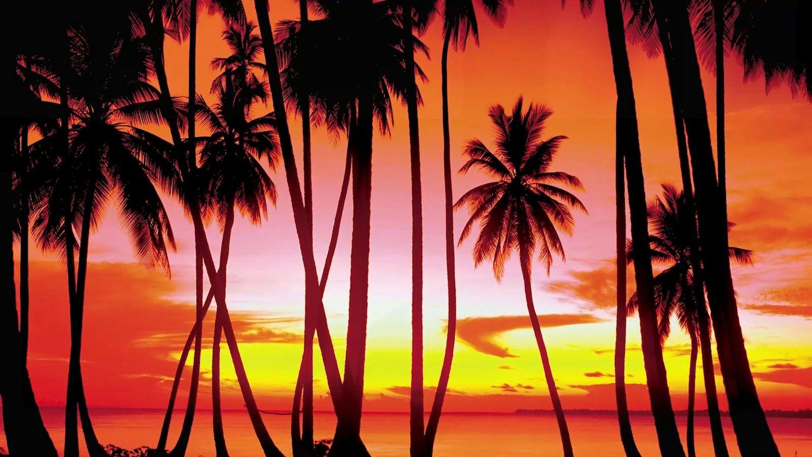 The GTA: Vice City browser port lasted barely a week before Take-Two's lawyers moved to take the game down.
