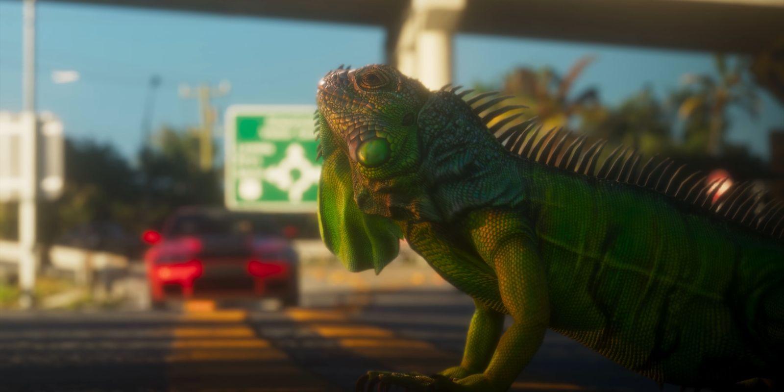An iguana fills the foreground beside a road.