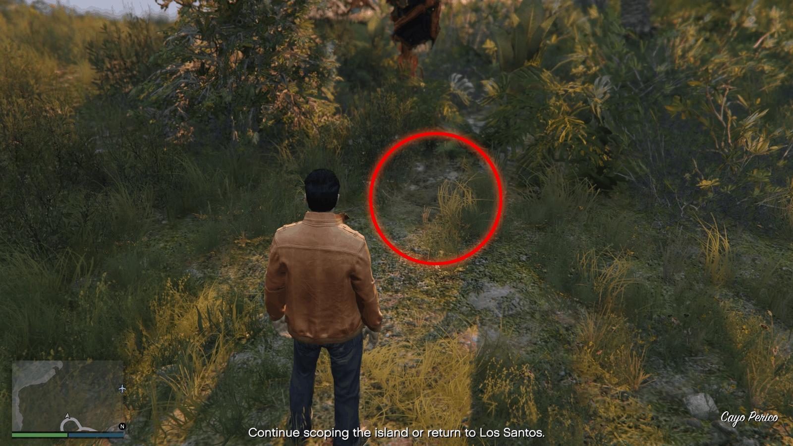 Chest-8-Visual.png