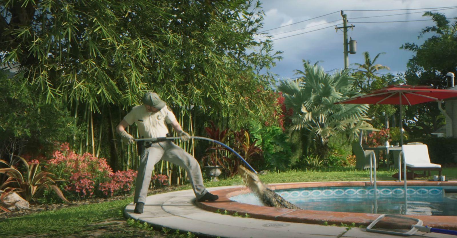 Animal control removing an alligator from a residential pool.
