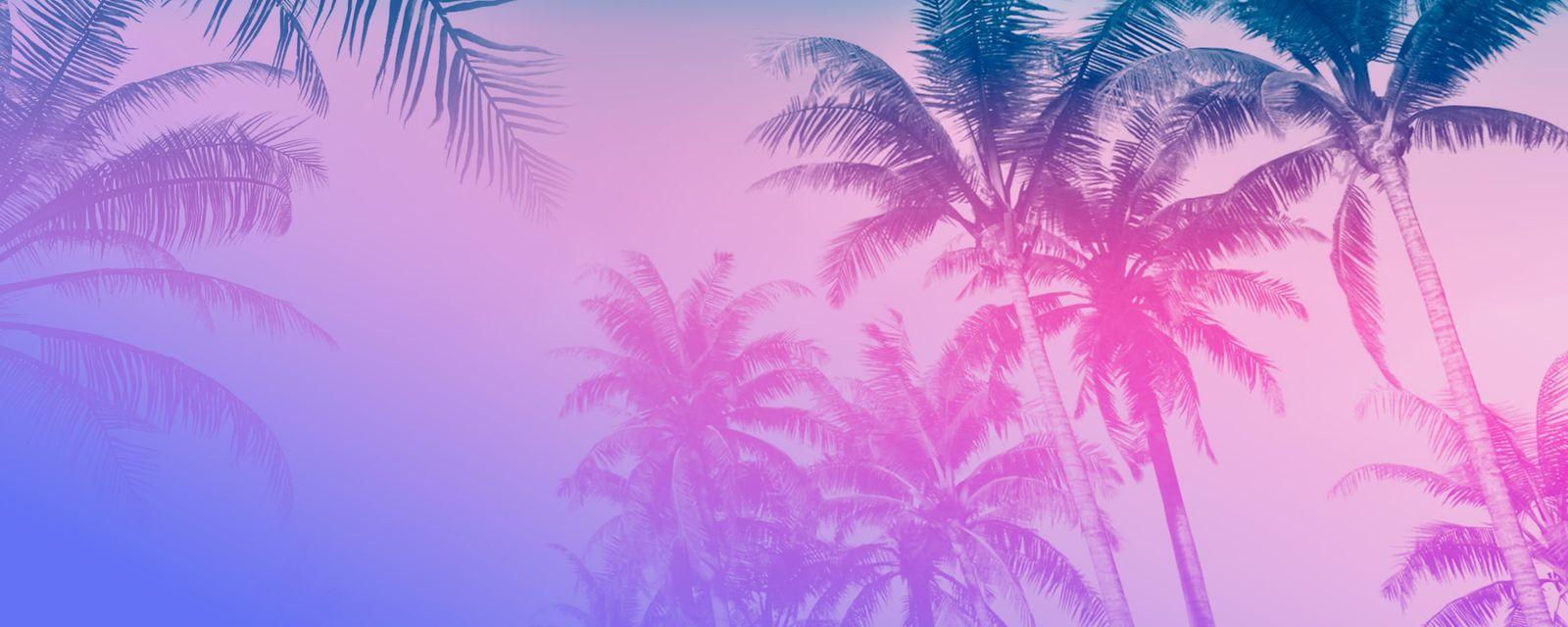 Pink and purple palm silhouettes used for Cocoteo FM.