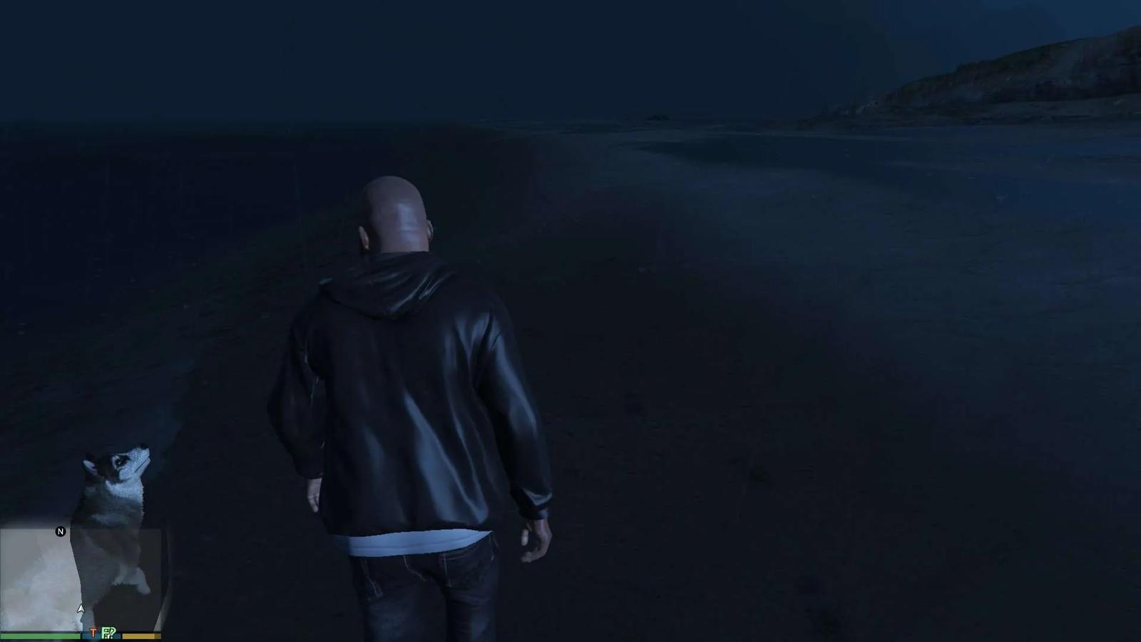 Study: The Secret Lives Of Gta V's Dogs