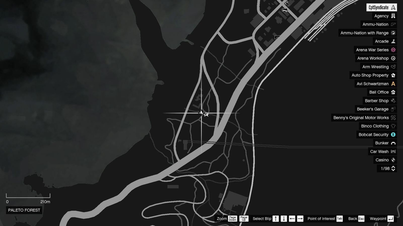 The map shows the location of the golden clover found at the wooden bridge in Paleto Forest.
