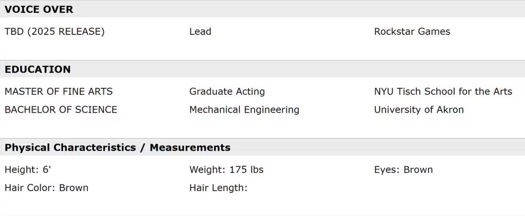 What else could possibly be launching in 2025 from Rockstar?