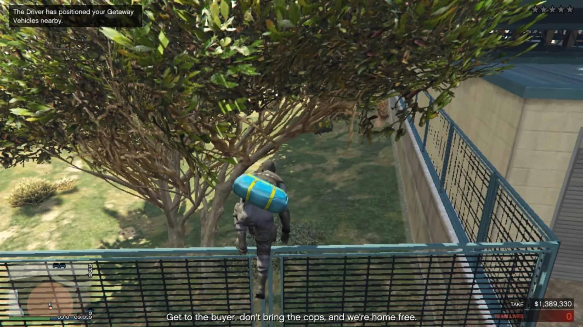 Jumping over the fence to the road