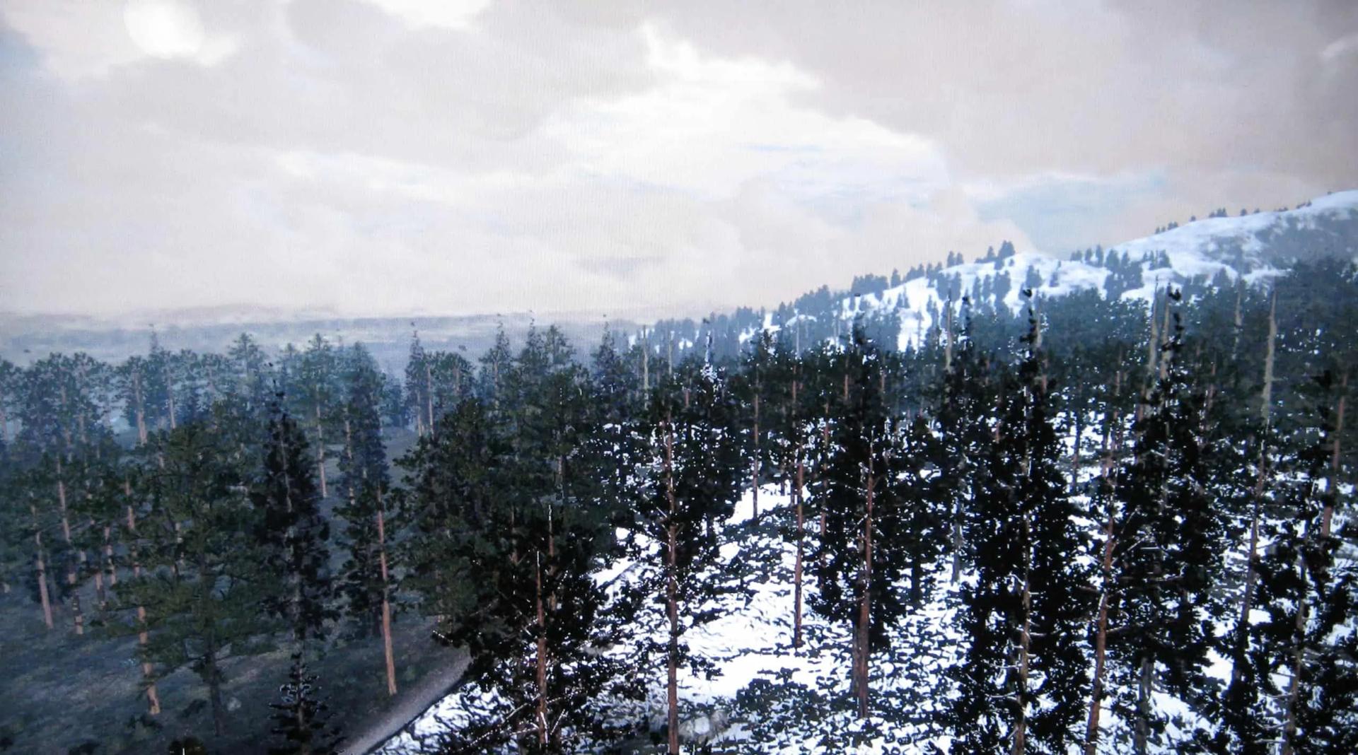 Tall Trees region as seen in Red Dead Redemption