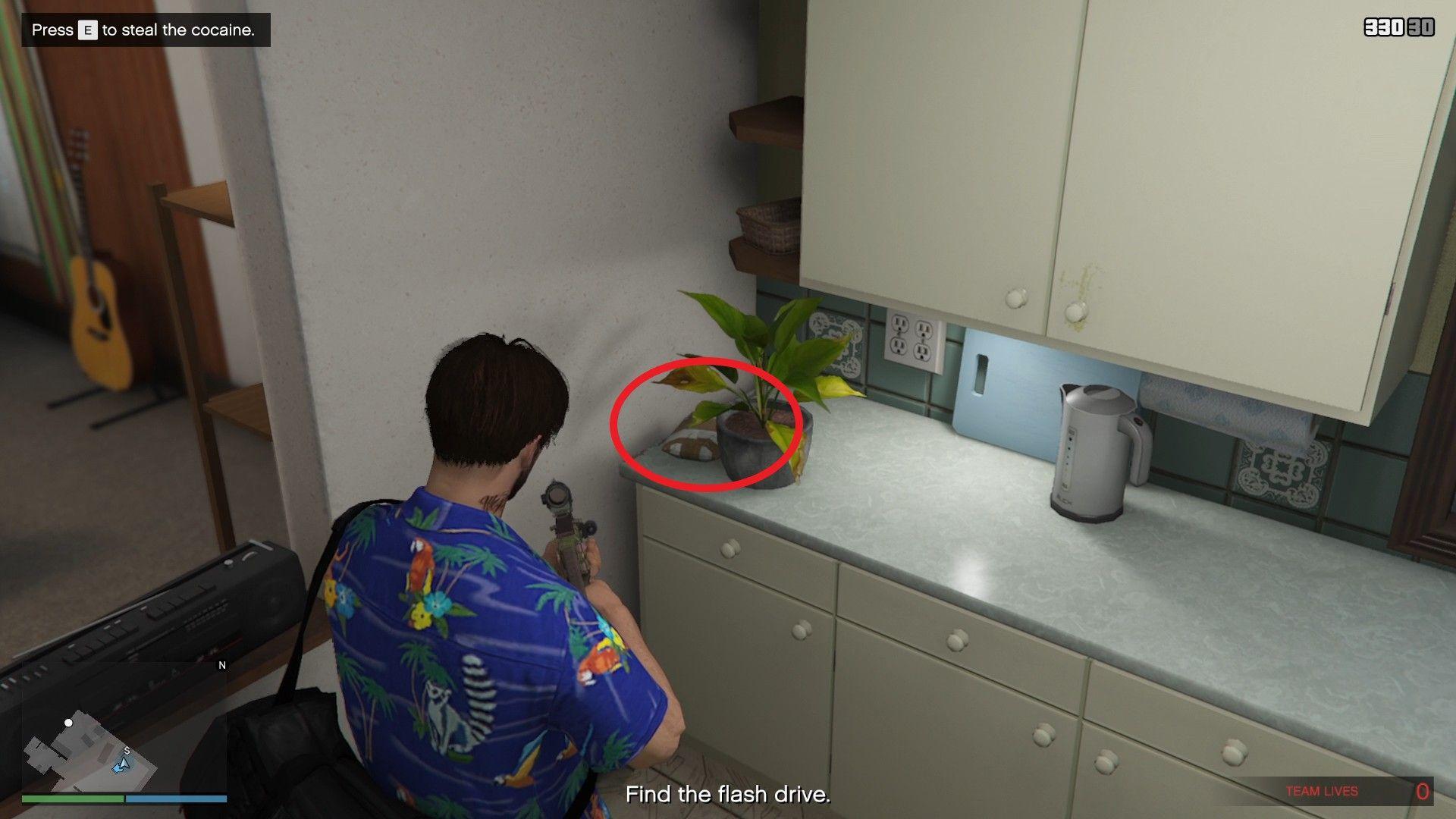 On the kitchen counter directly behind the dog.