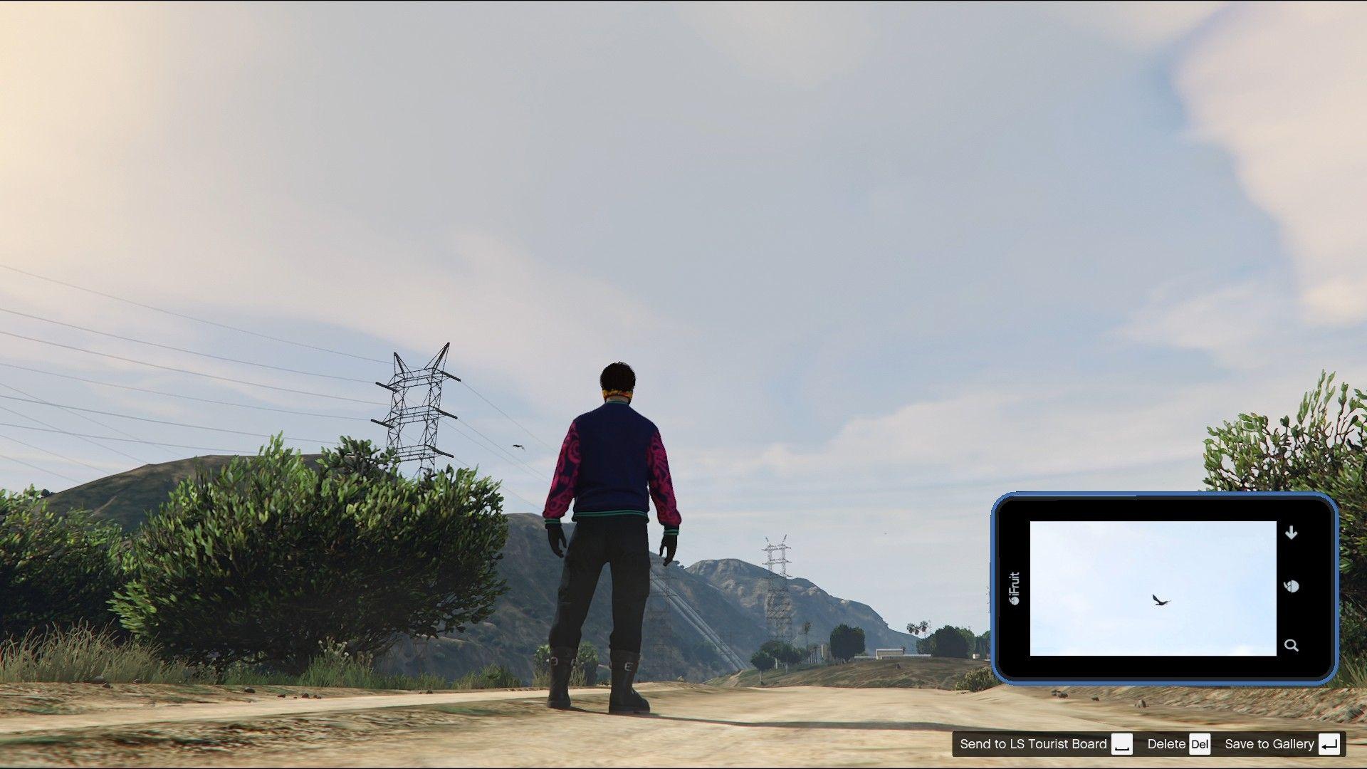 A Great Cormorant is flying in the sky over the dirt road.