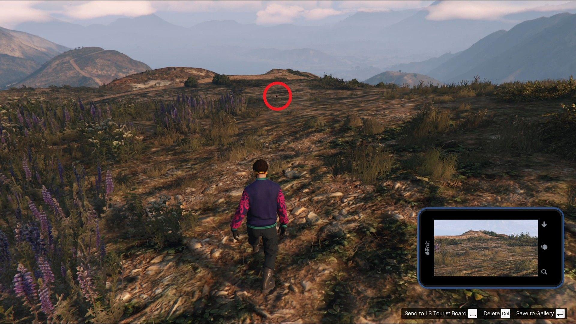 Rabbit found in the Chiliad Mountain State Wilderness.