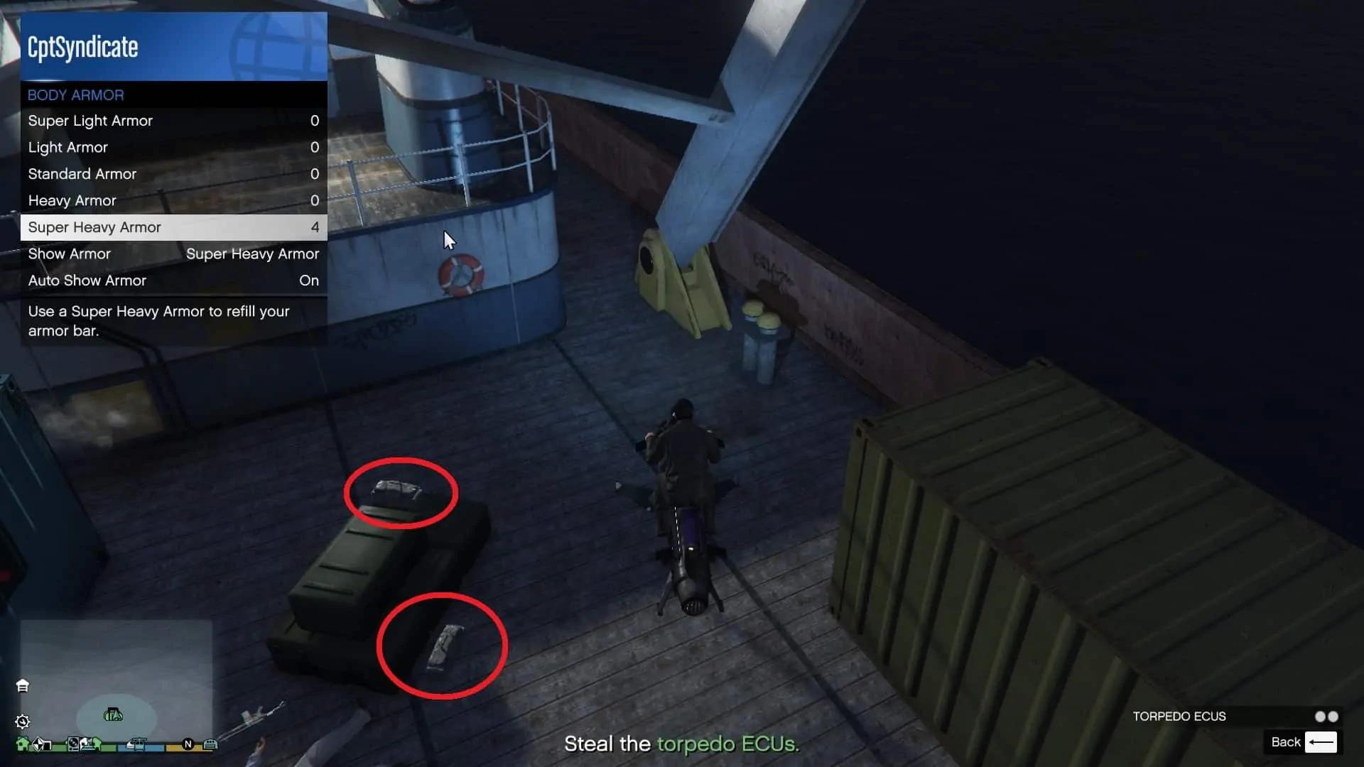 Electronic Control Units (ECUs)