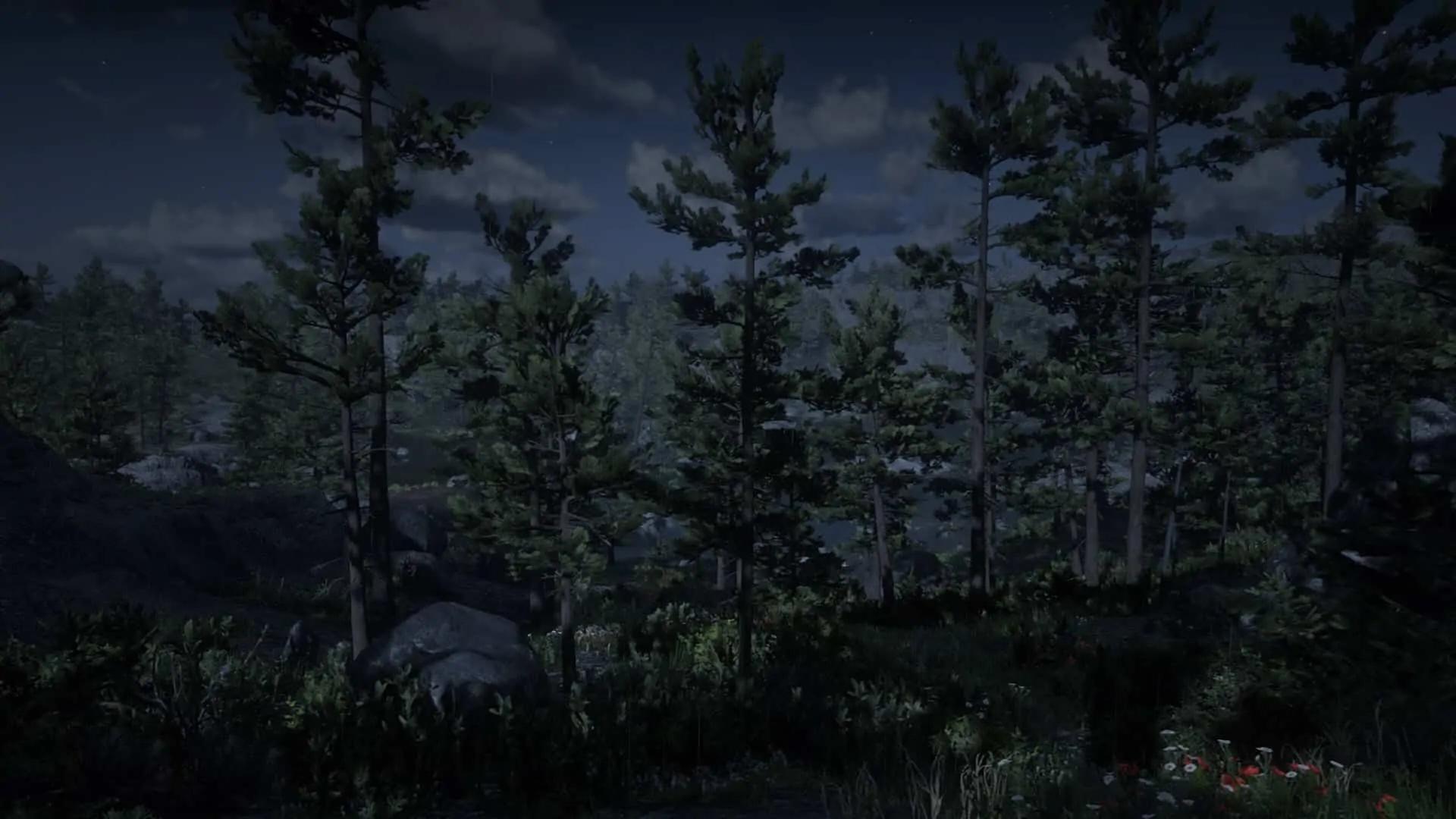 Grizzlies East in Red Dead Redemption 2