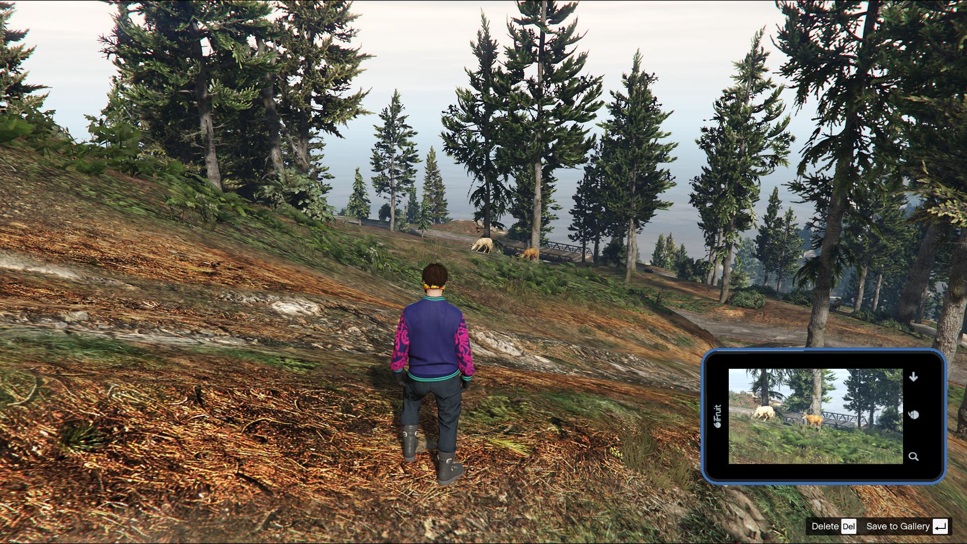 Deer grazing in the Chiliad Mountain State Wilderness.