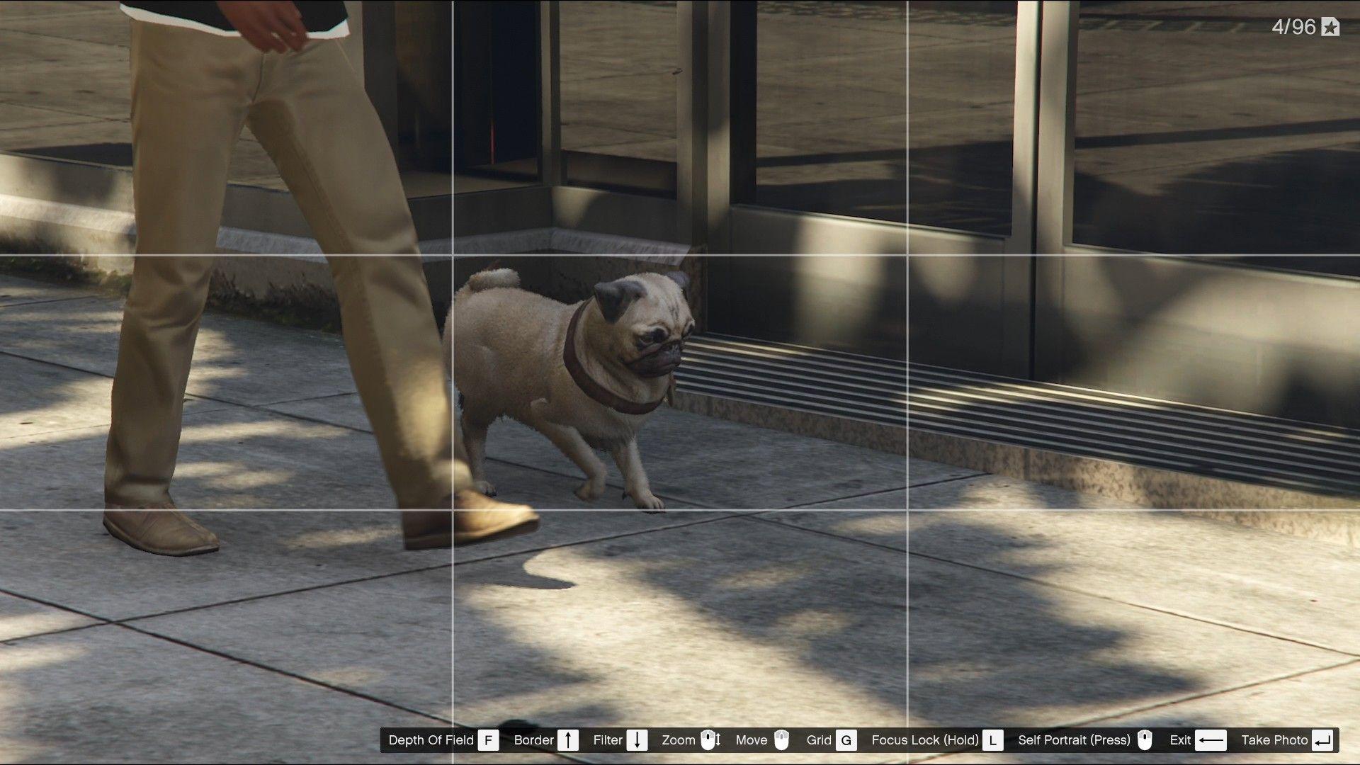 The animal is in the middle of the camera grid.