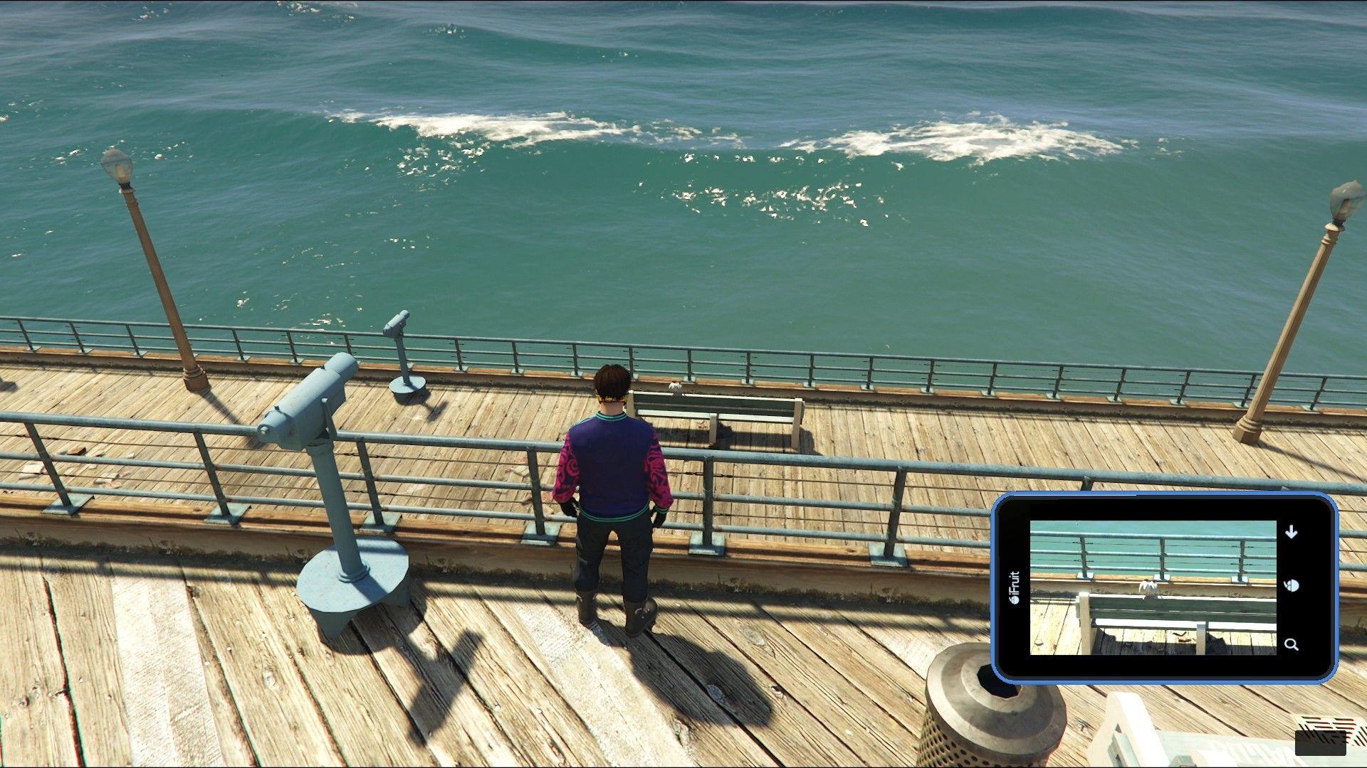 Seagull at the end of Del Perro Pier.