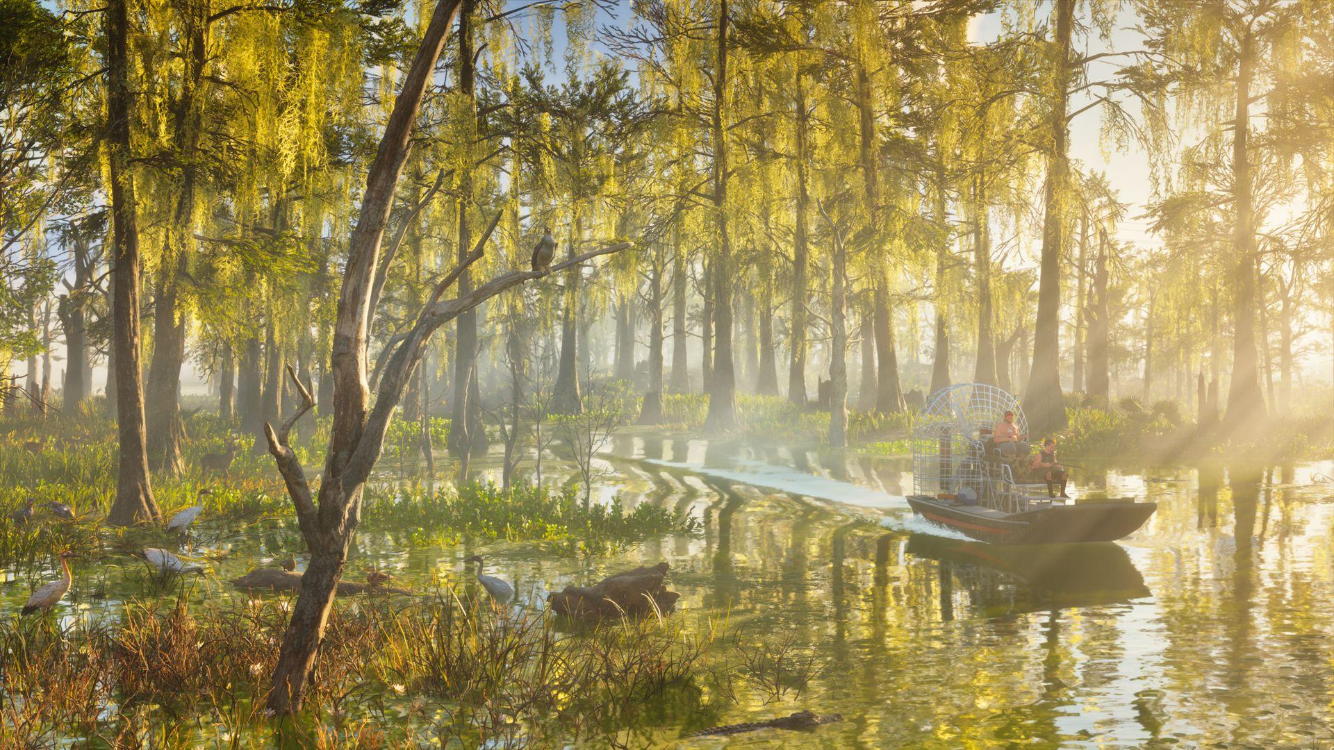 An airboat travels through a sunlit channel surrounded by trees and hanging vegetation.