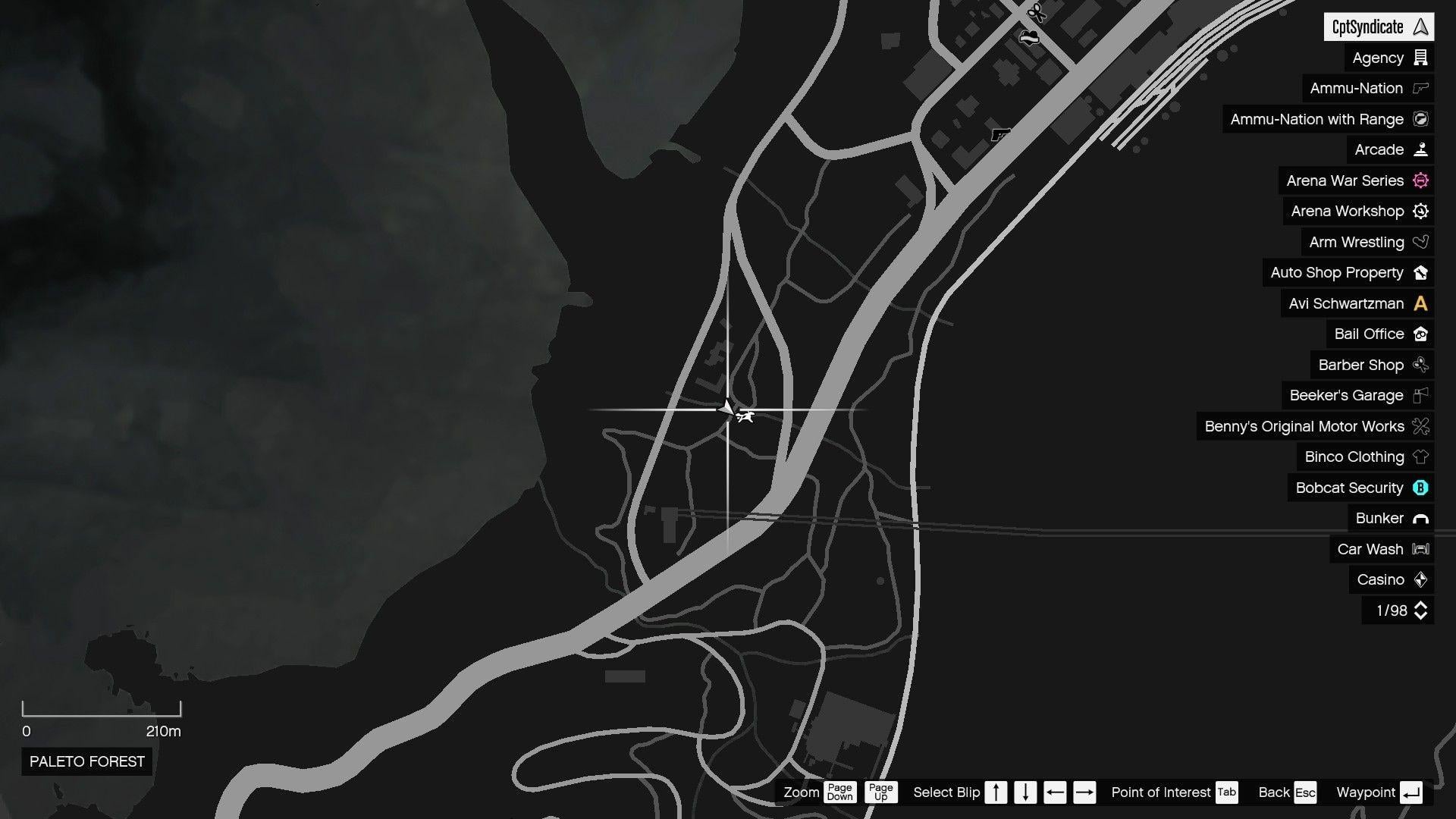 The map shows the location of the golden clover found at the wooden bridge in Paleto Forest.