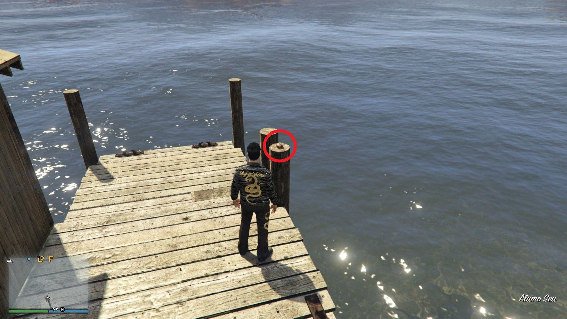 At the end of the dock at the Foreclosed North Alamo Pier.